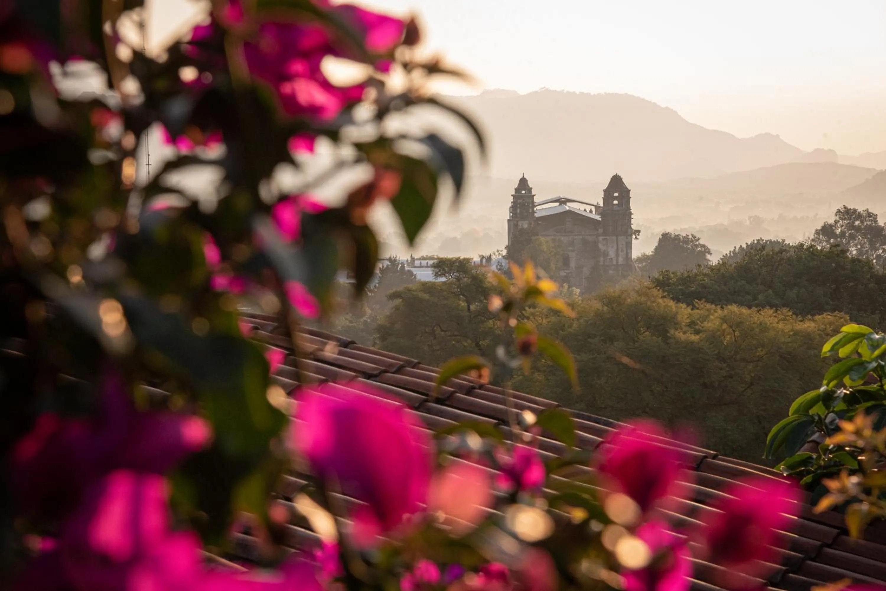 Garden in Posada del Tepozteco - Hotel & Gallery