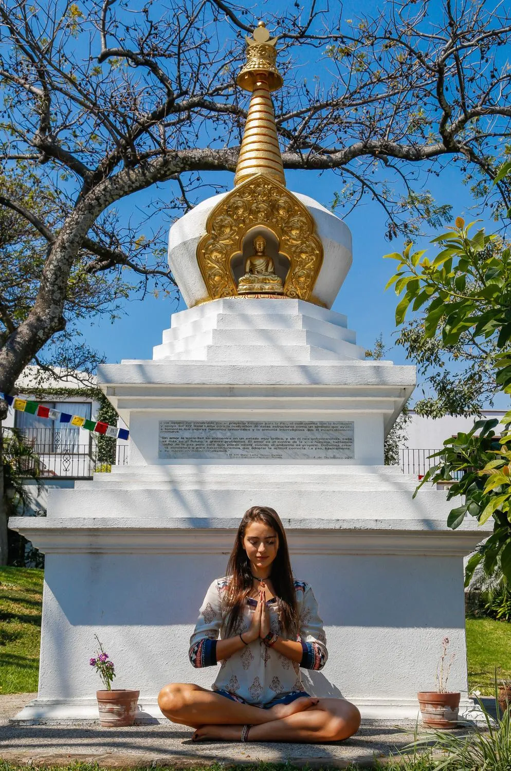 Garden in Posada del Tepozteco - Hotel & Gallery