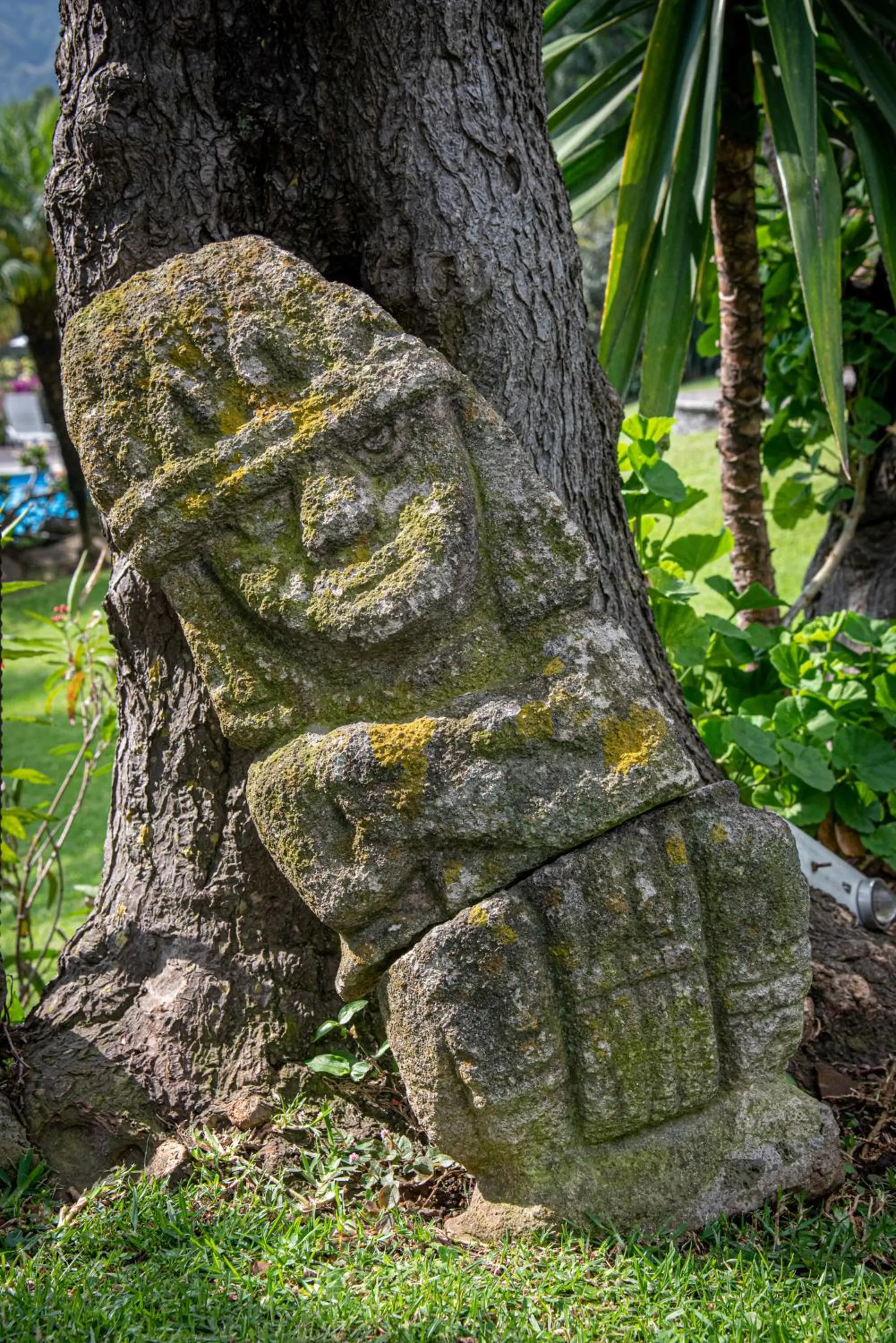 Garden in Posada del Tepozteco - Hotel & Gallery