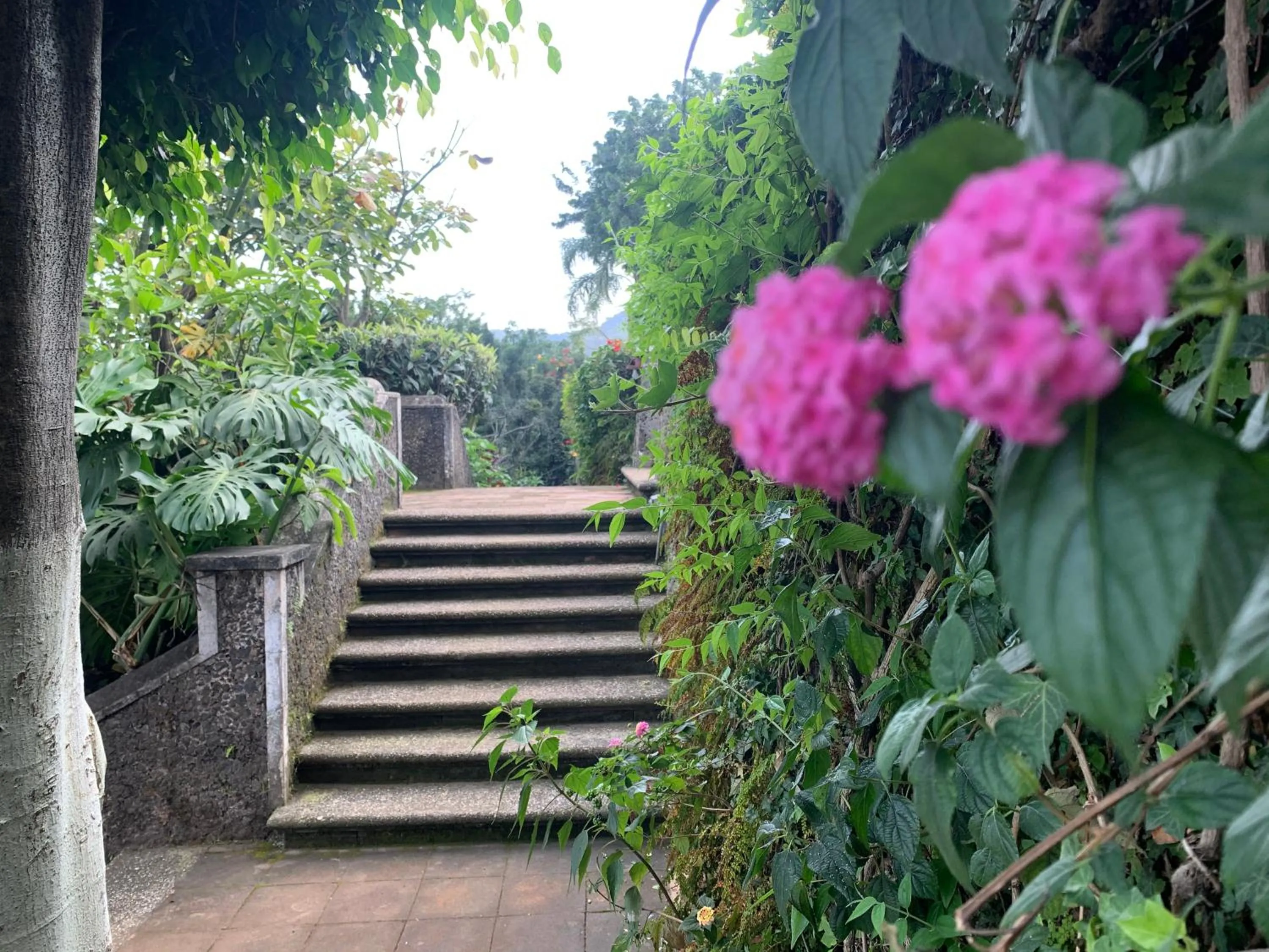 Garden in Posada del Tepozteco - Hotel & Gallery