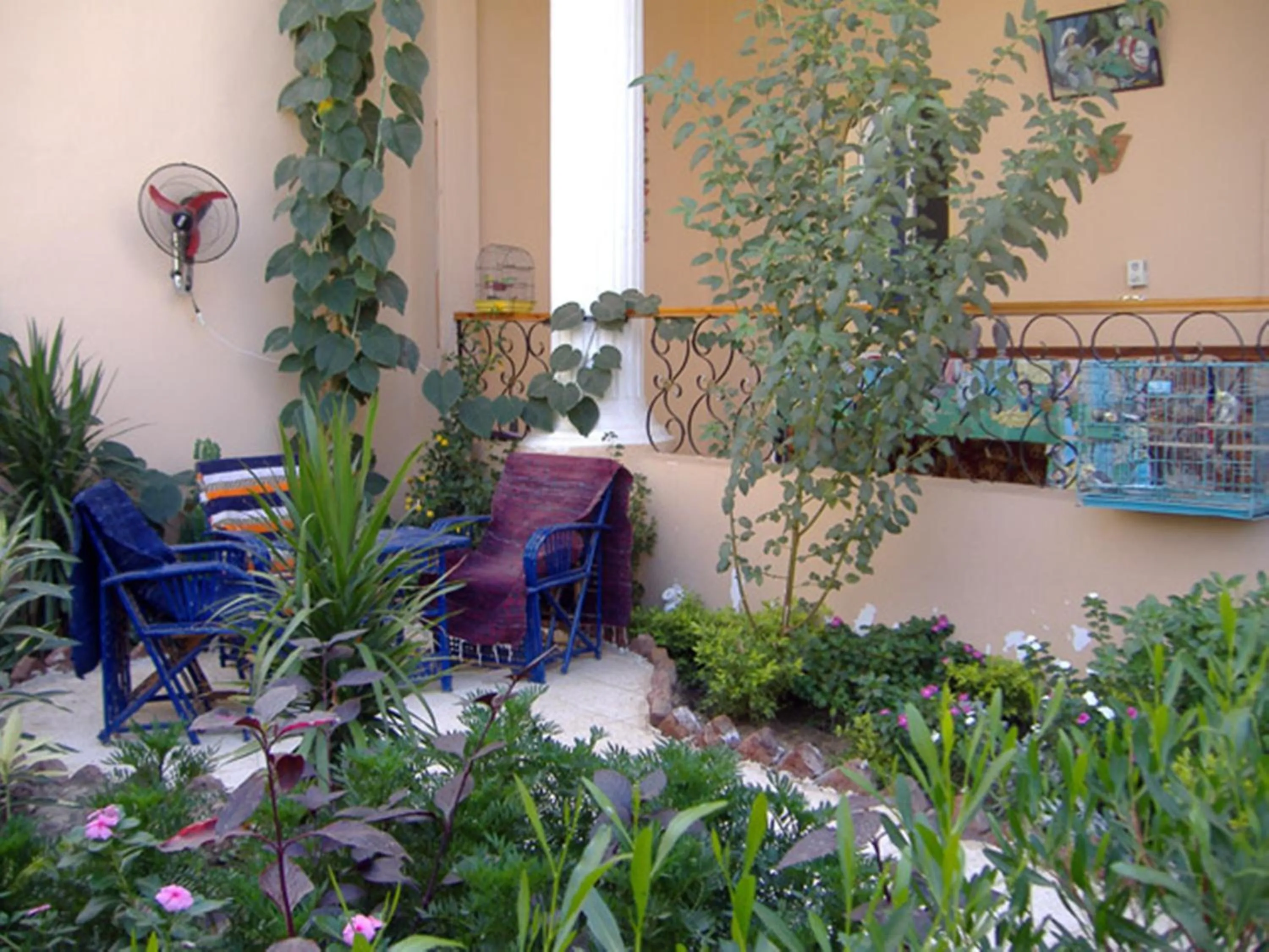 Garden in Enjoy Luxor