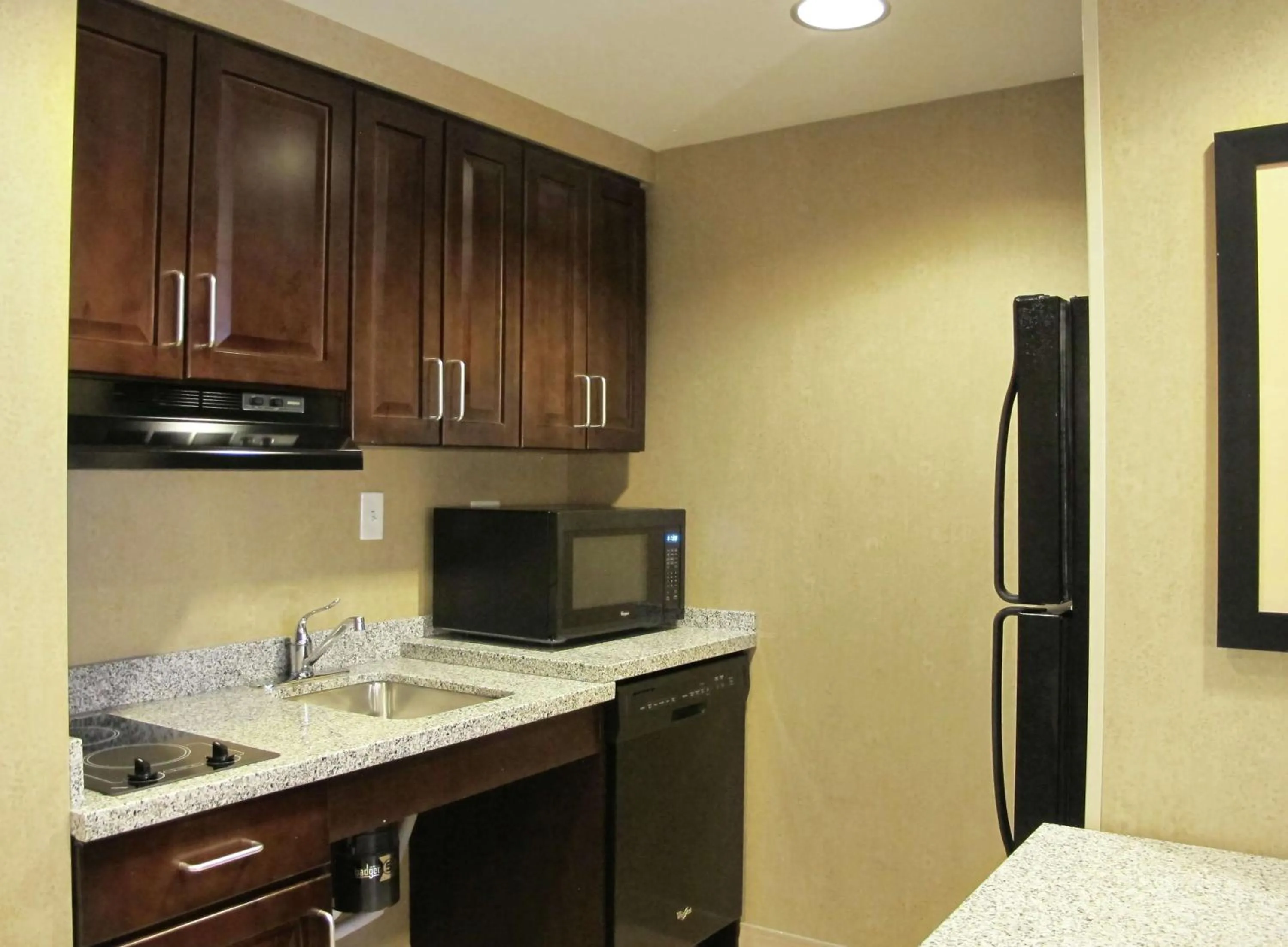 Kitchen or kitchenette in Homewood Suites by Hilton Coralville - Iowa River Landing