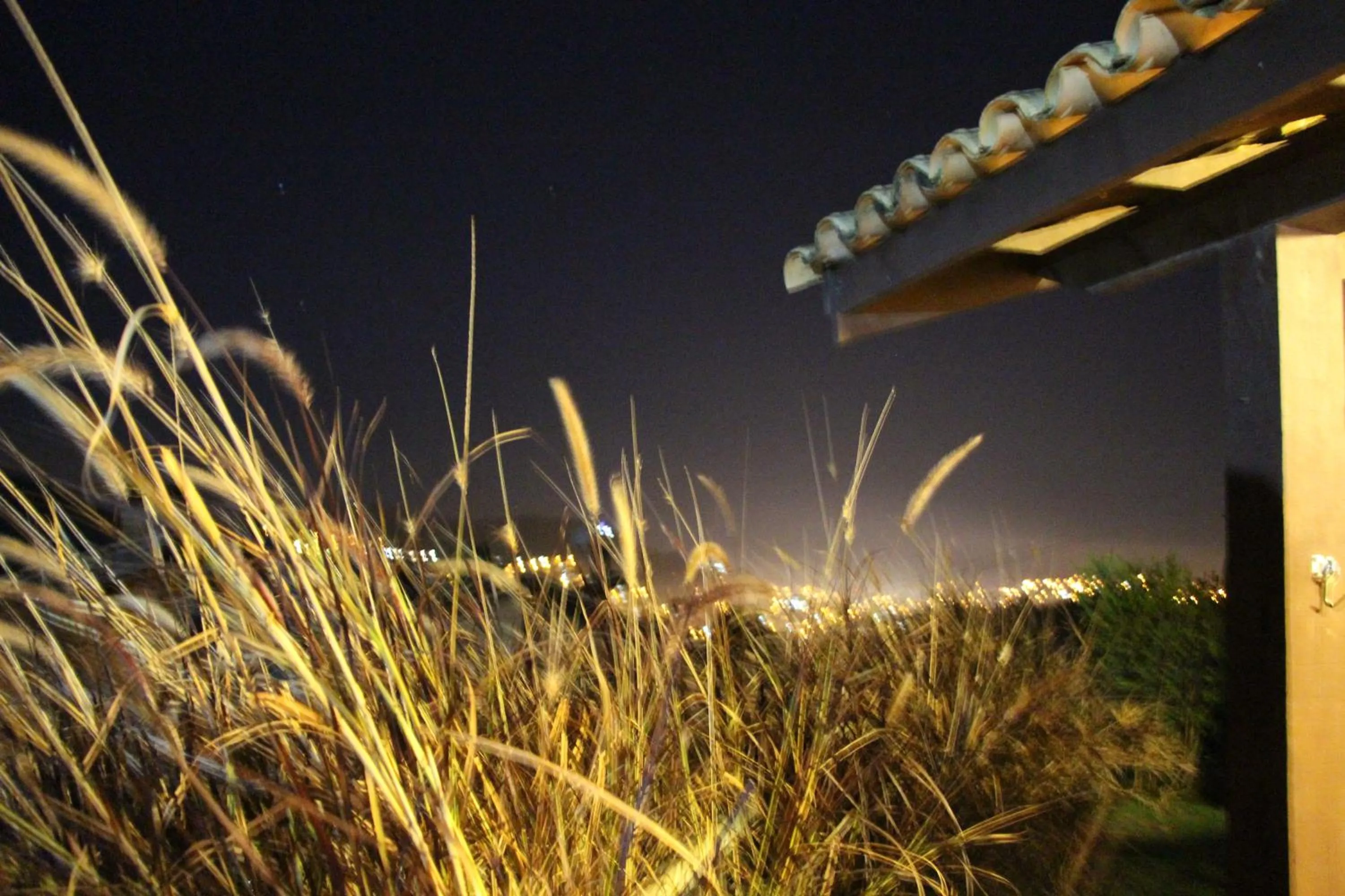 View (from property/room) in Hotel Pousada Shangri-la