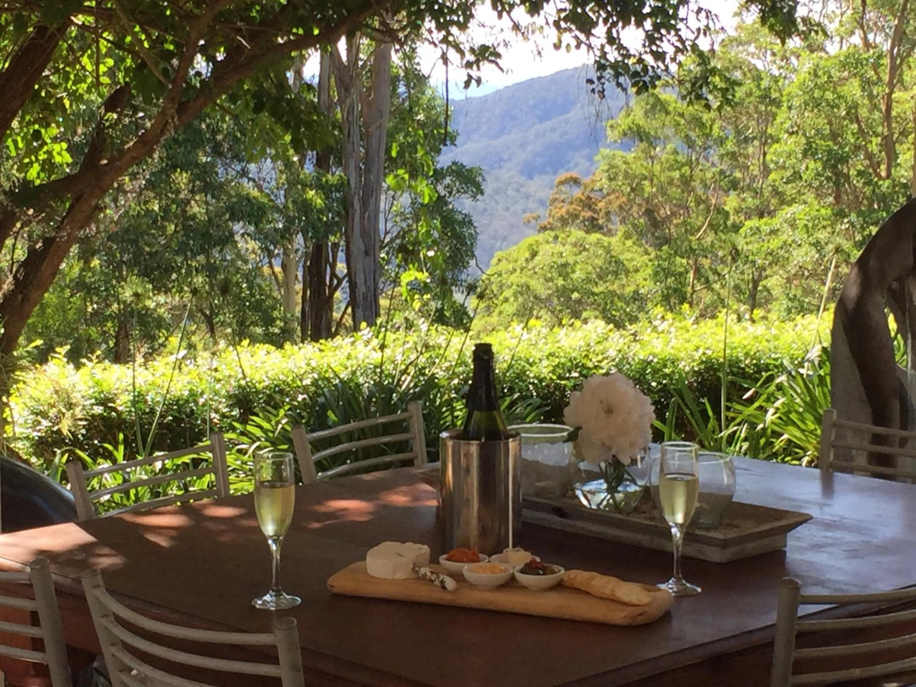 Garden in Mapleton Falls Accommodation