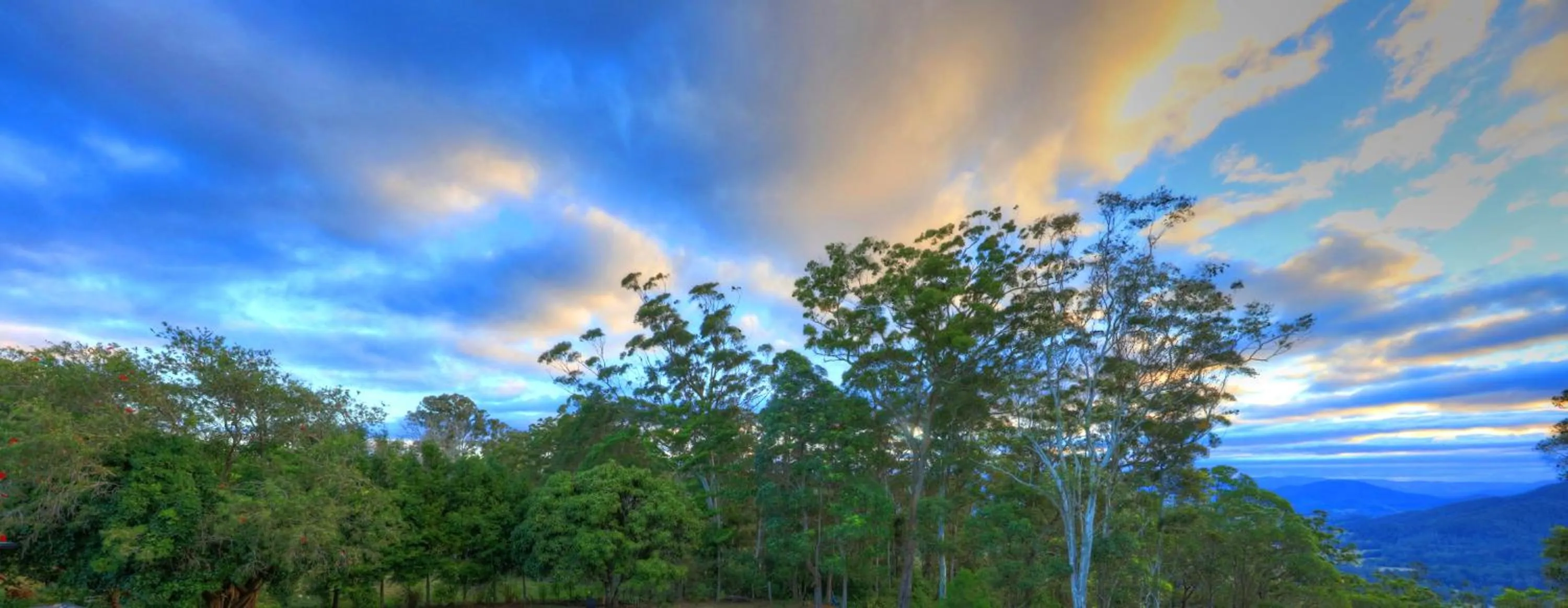 Mapleton Falls Accommodation