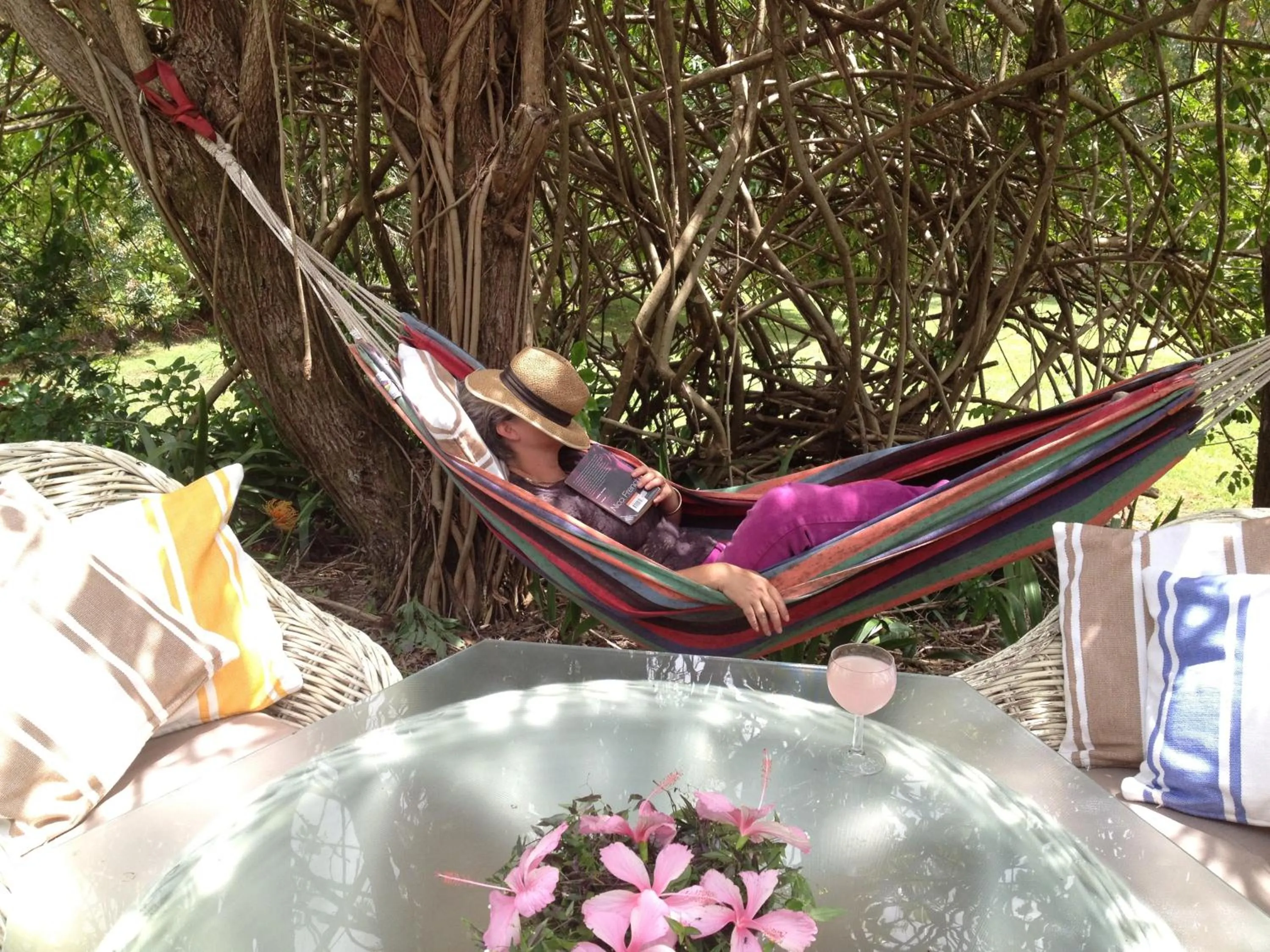 Garden in Mapleton Falls Accommodation