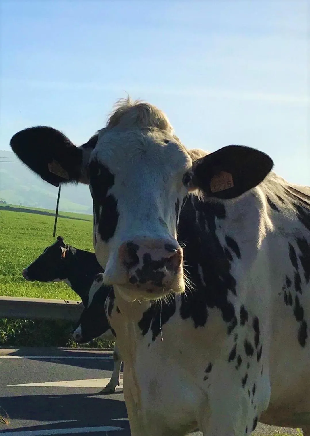 CASA INTI / INTI HOUSE FURNAS