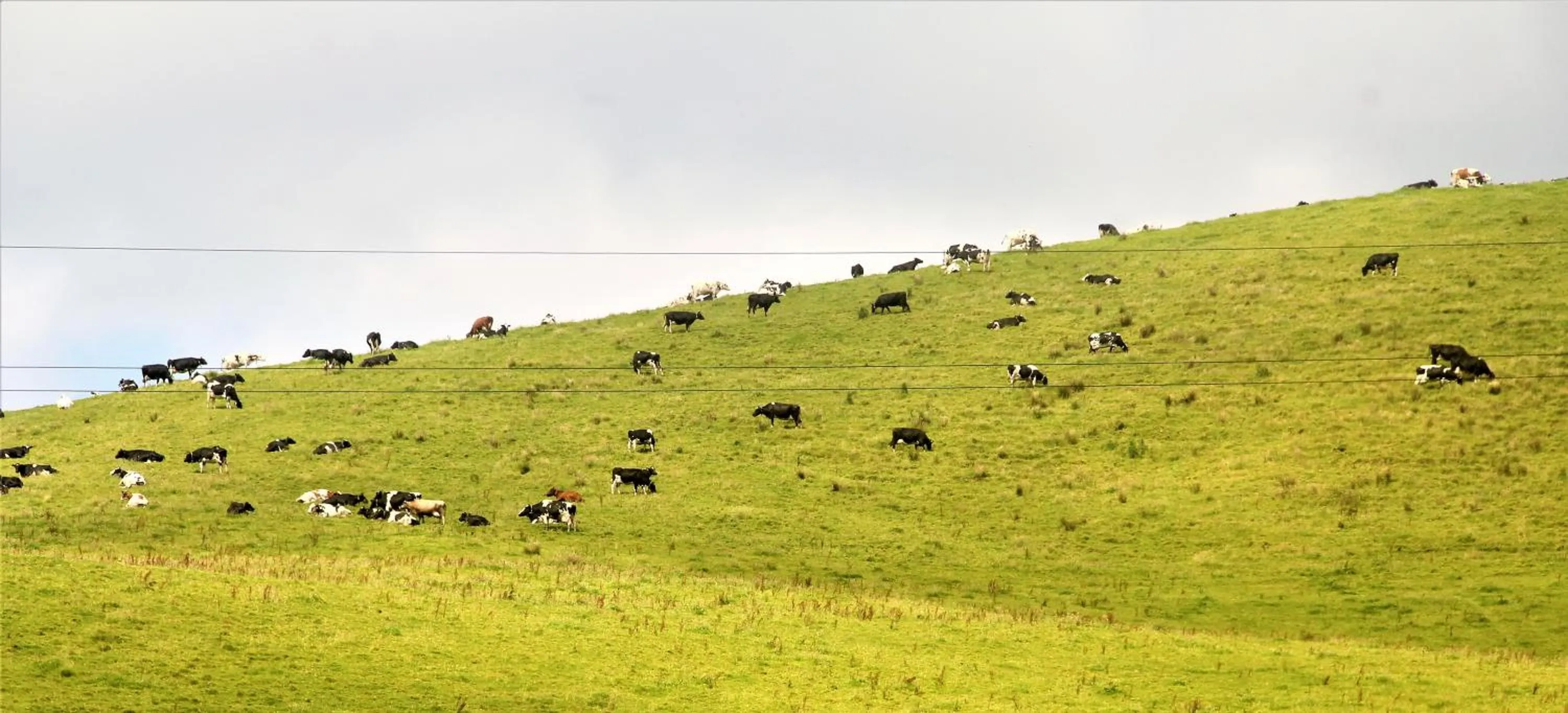 Natural landscape in CASA INTI / INTI HOUSE FURNAS