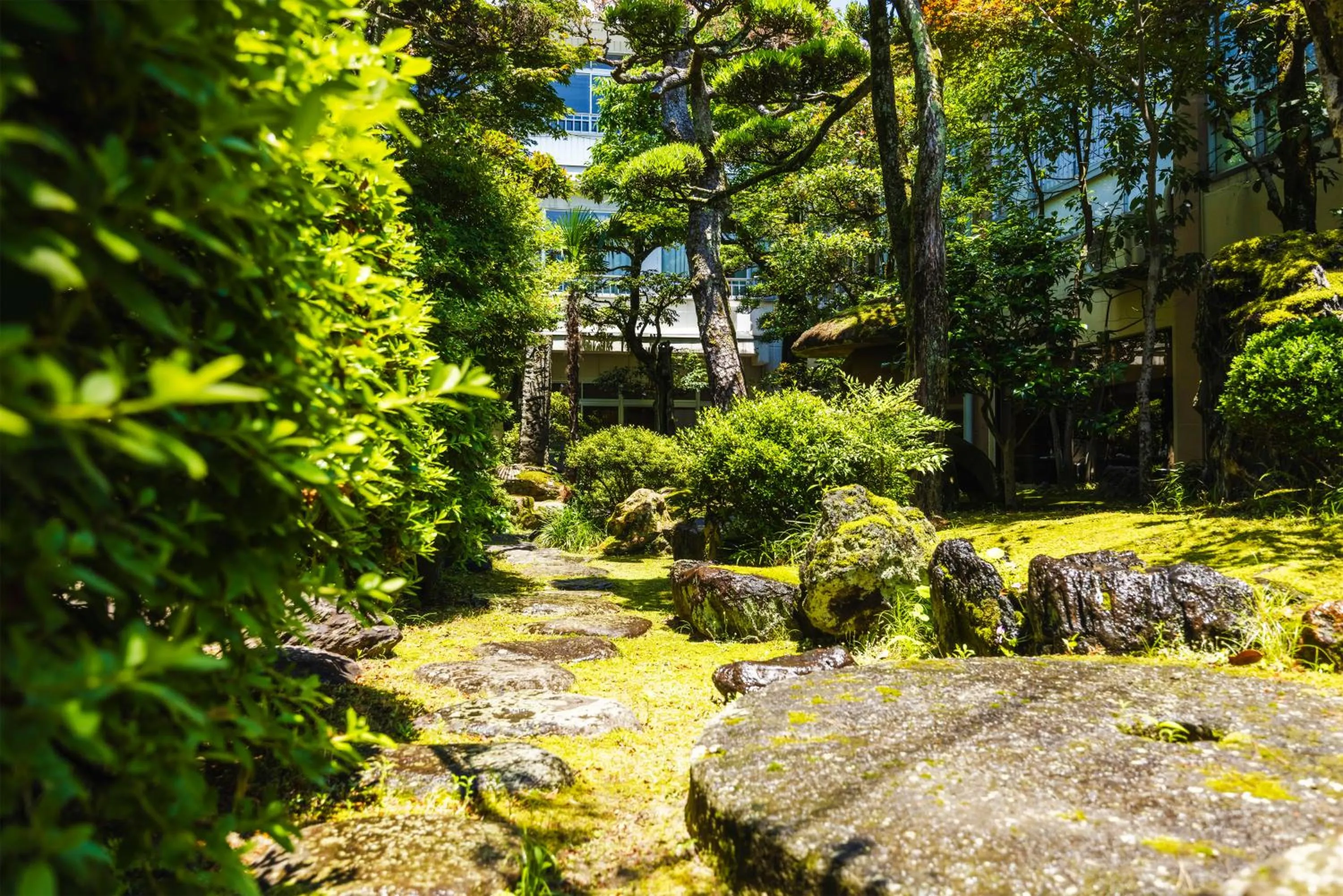 Garden view in Ryokan Marumo