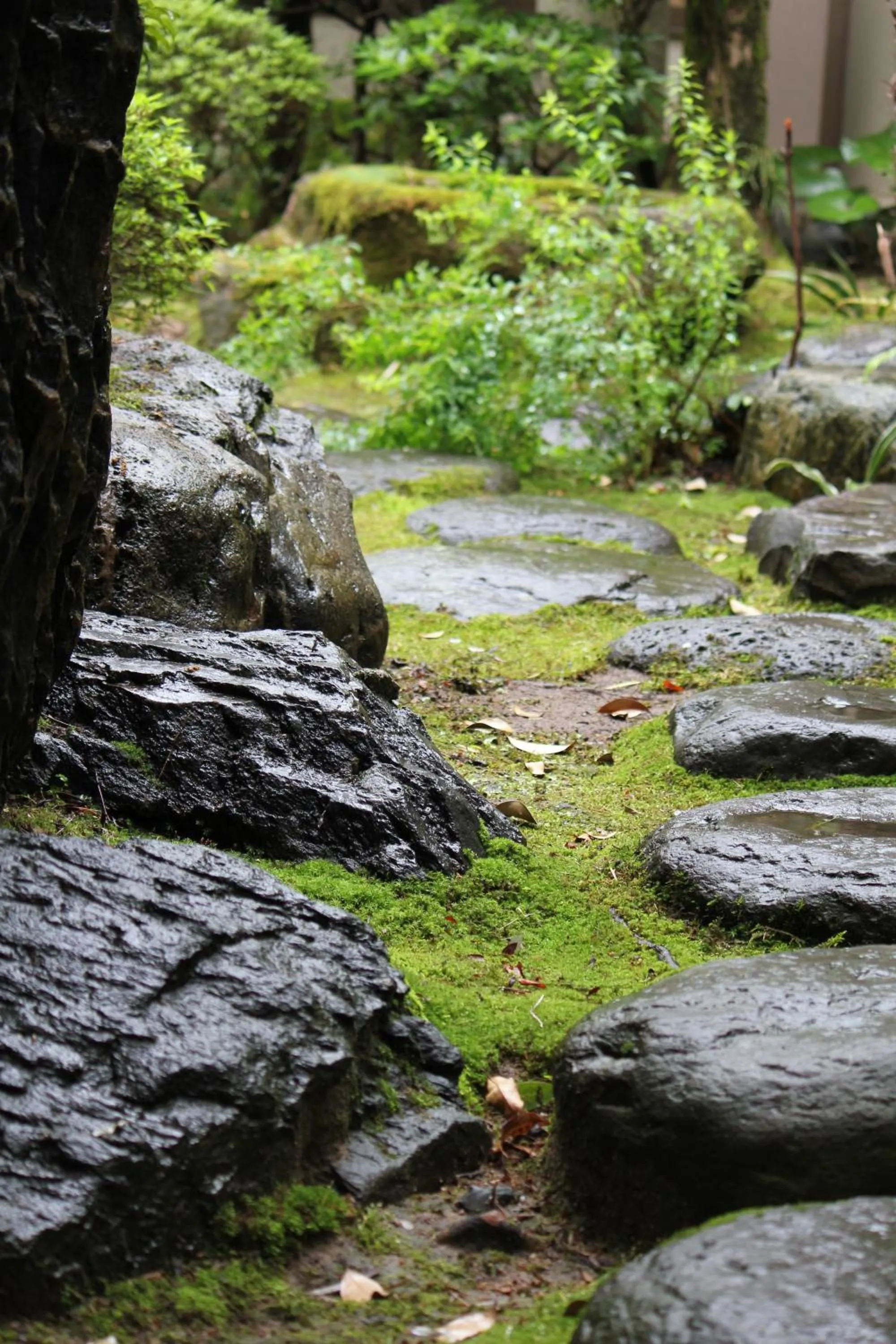 Garden in Ryokan Marumo