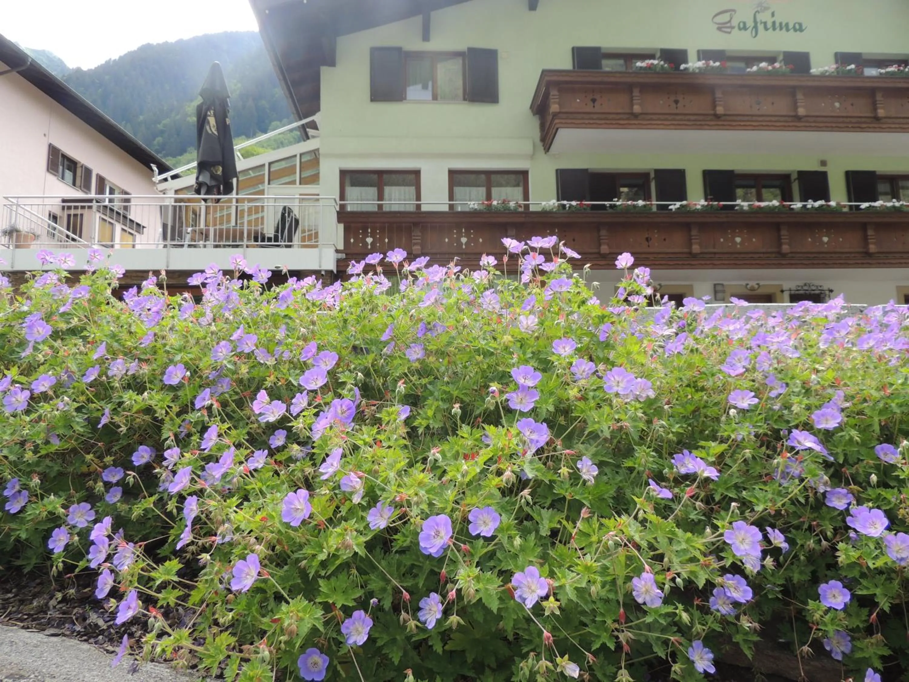Facade/entrance in Haus Gafrina