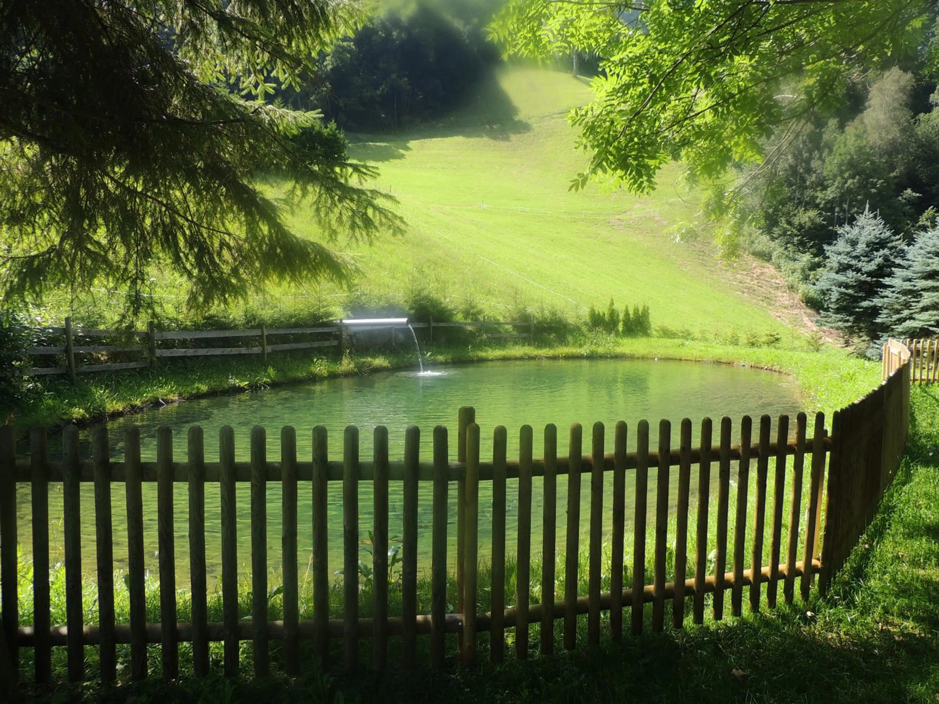 Fishing in Haus Gafrina