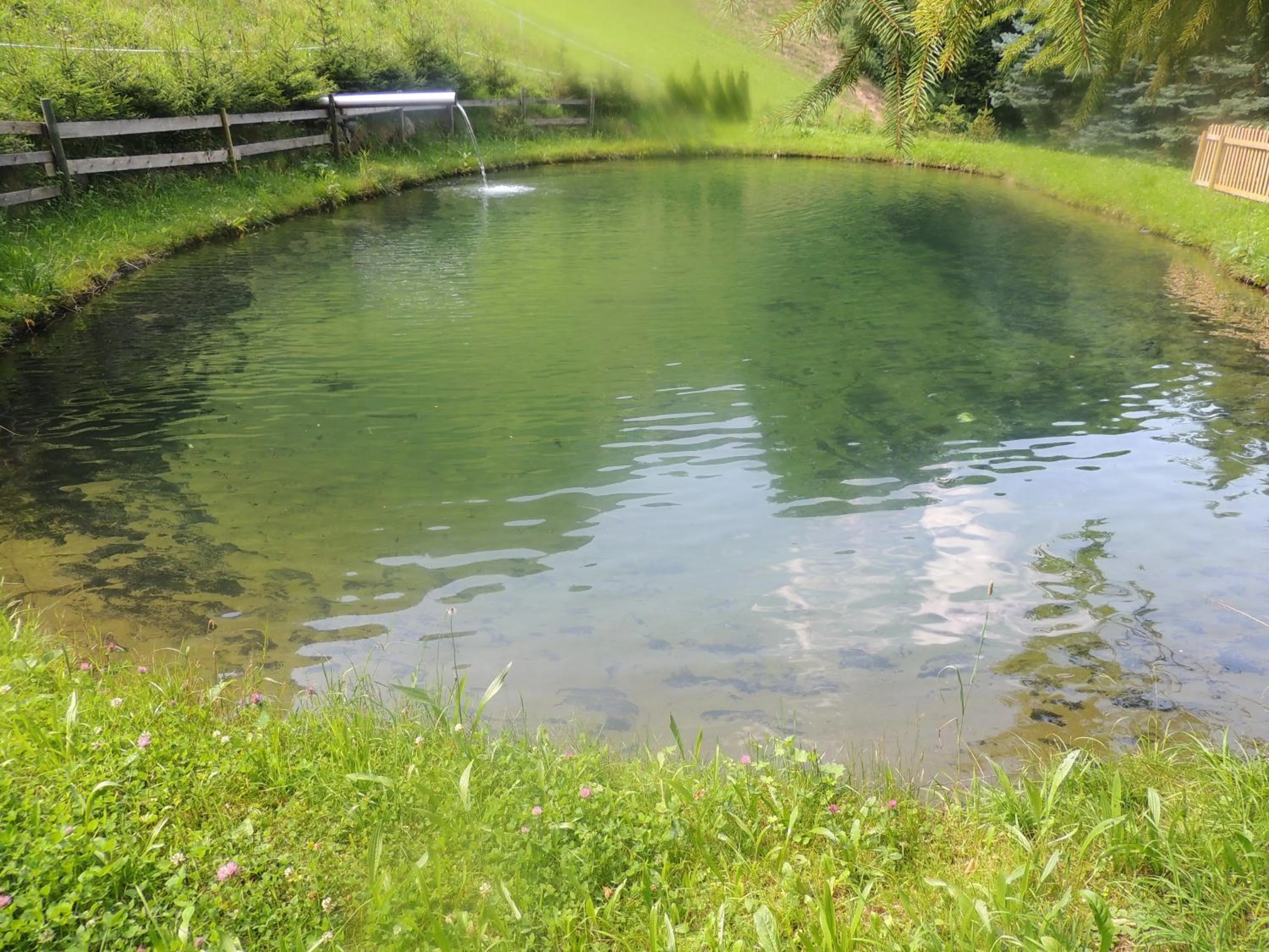 Fishing in Haus Gafrina