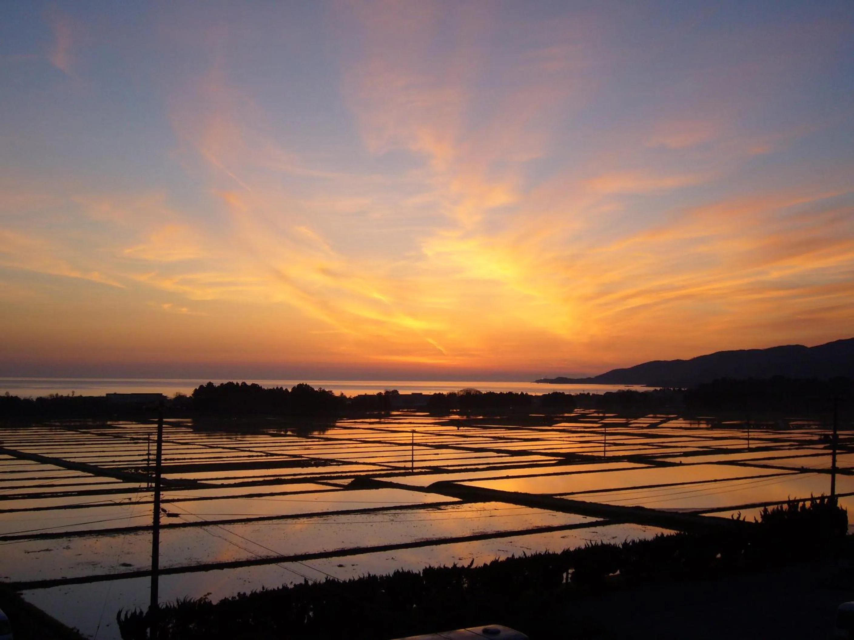 Neighbourhood in Aokiya