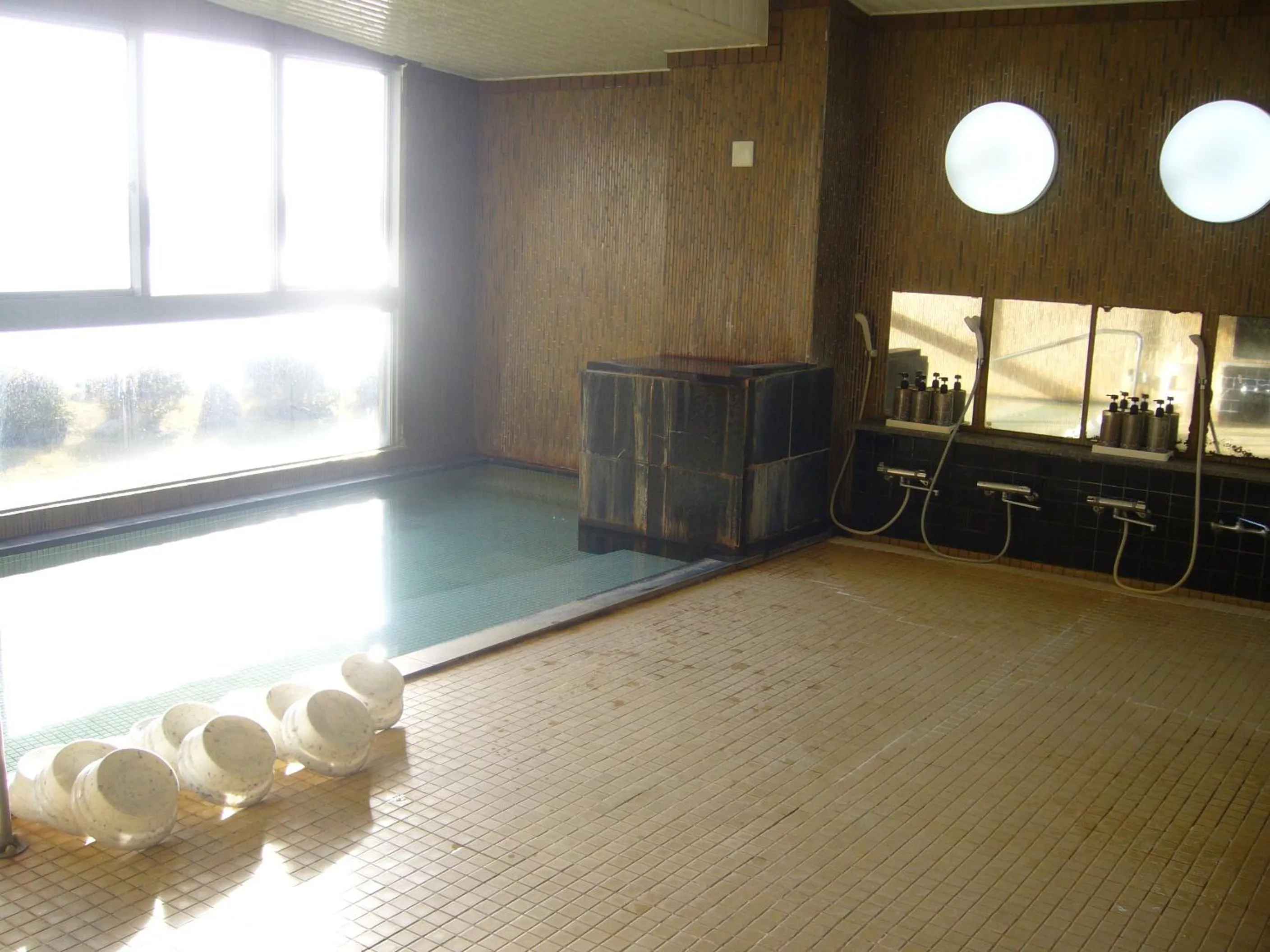Hot Spring Bath in Aokiya