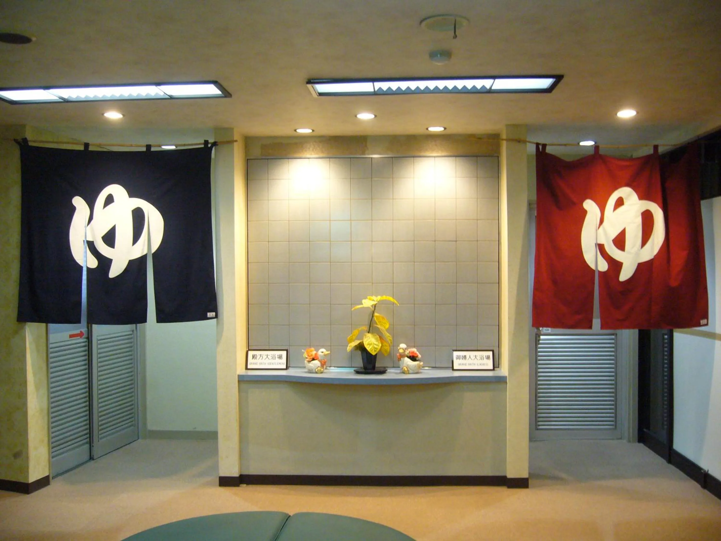 Hot Spring Bath in Aokiya