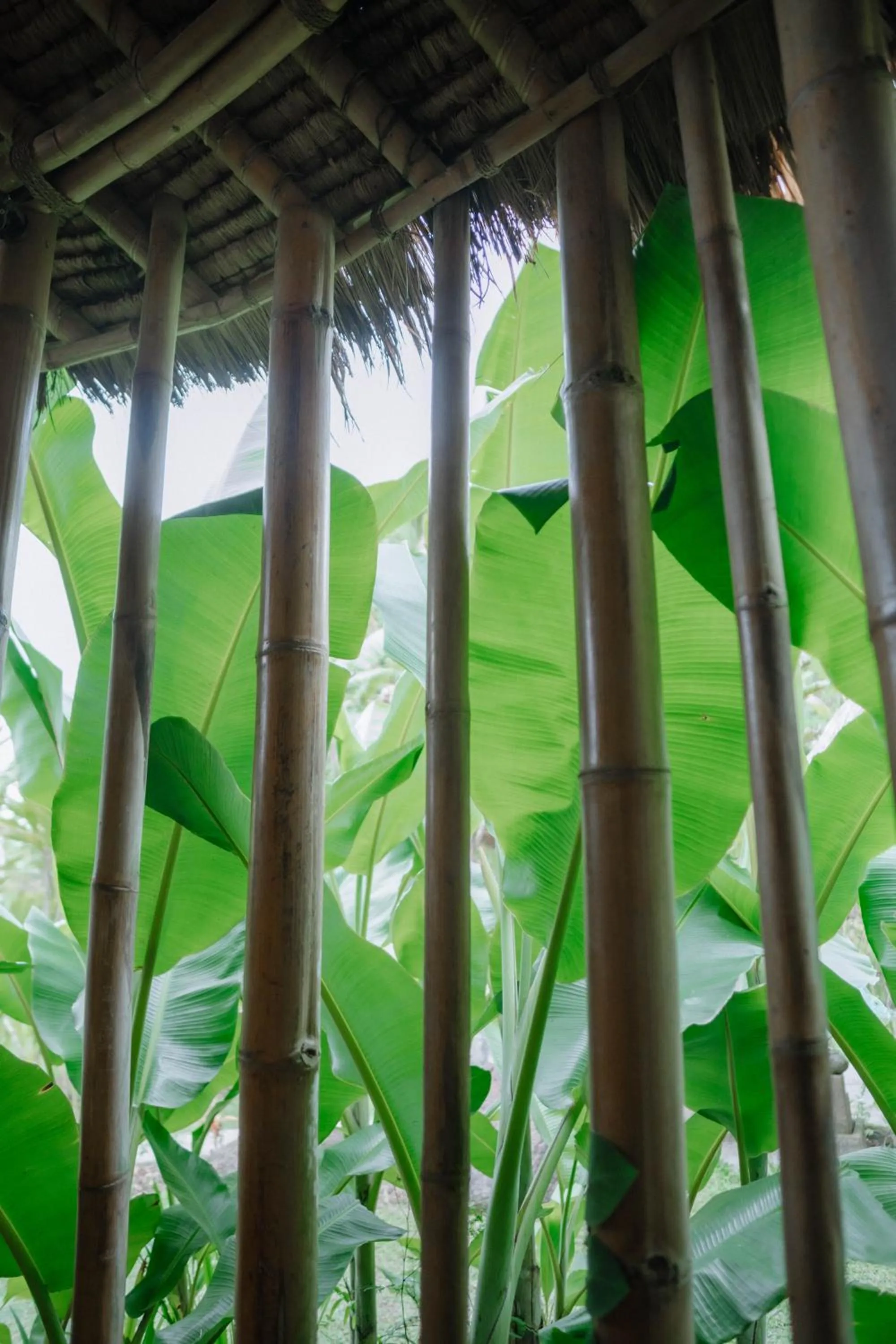 Sun Sang Eco Retreats