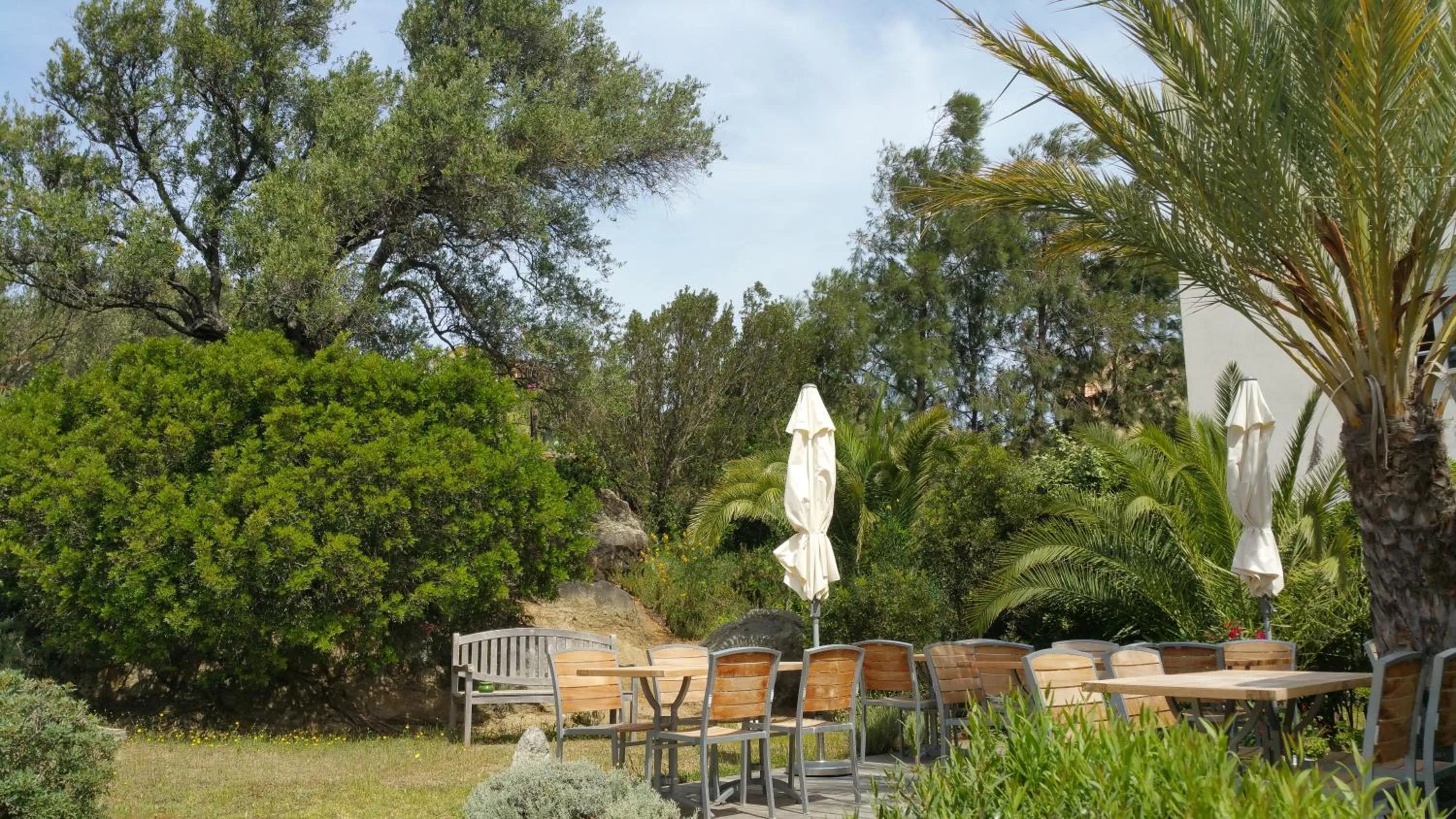 Garden in Hotel Cala di l'Oru