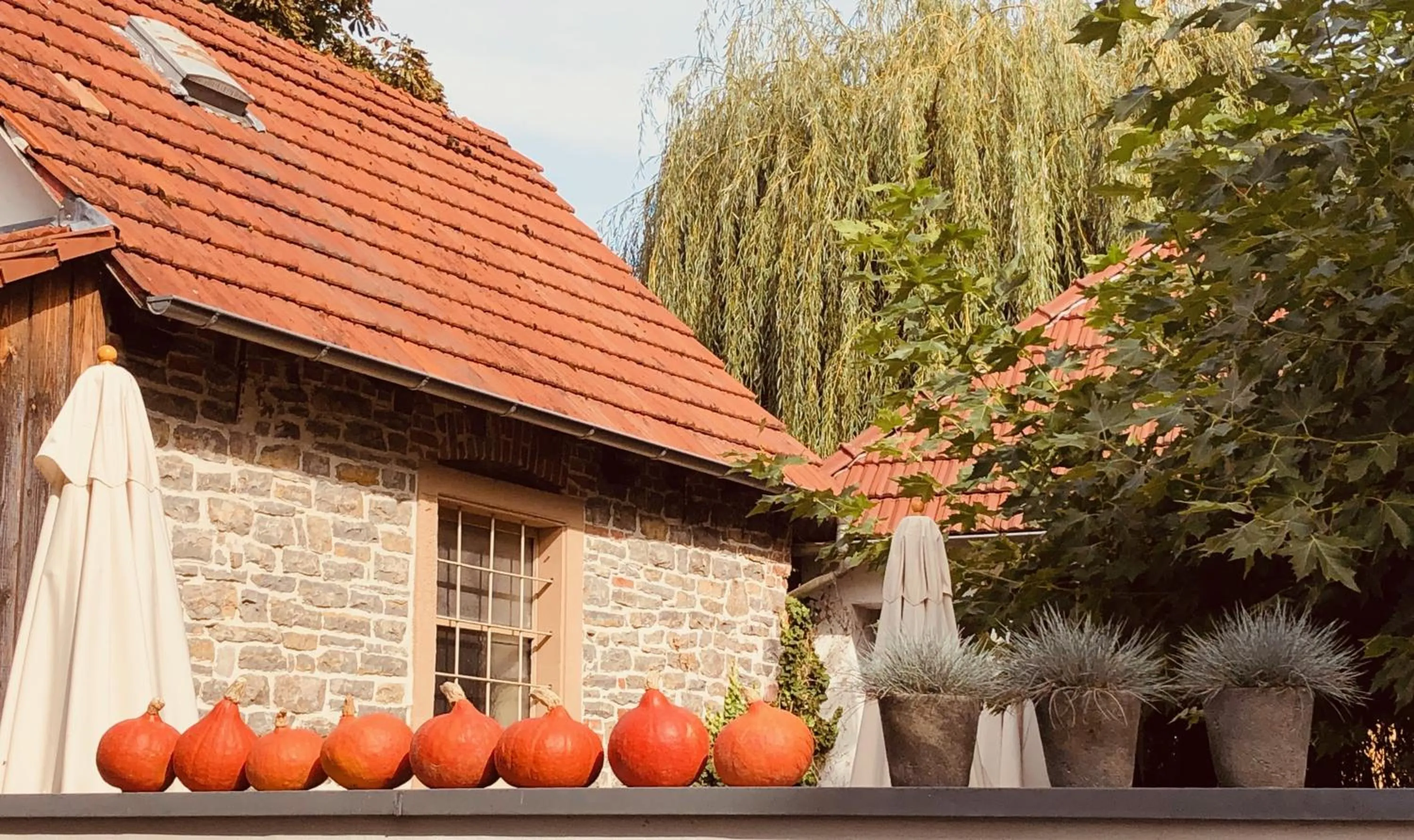 Restaurant/places to eat in Der Grüne Baum