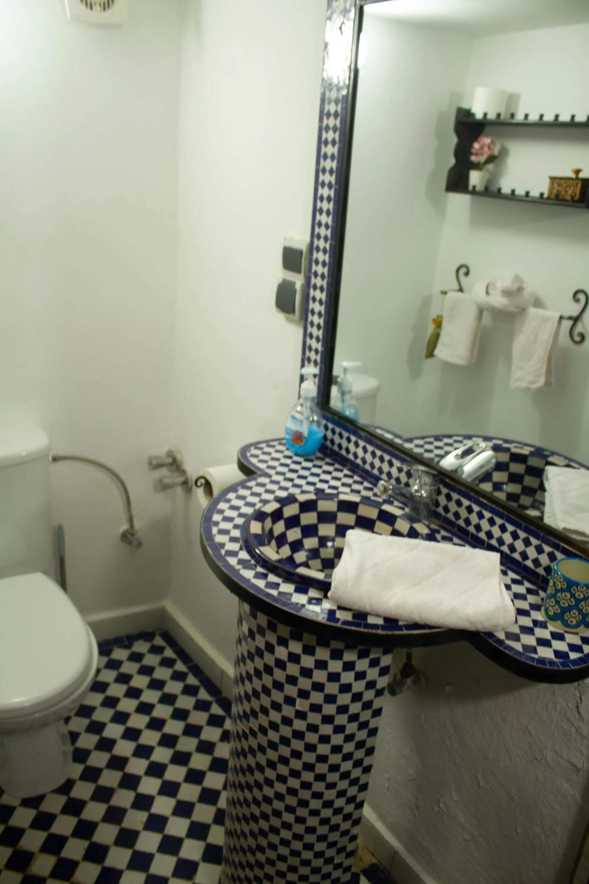 Toilet in Dar Lantana