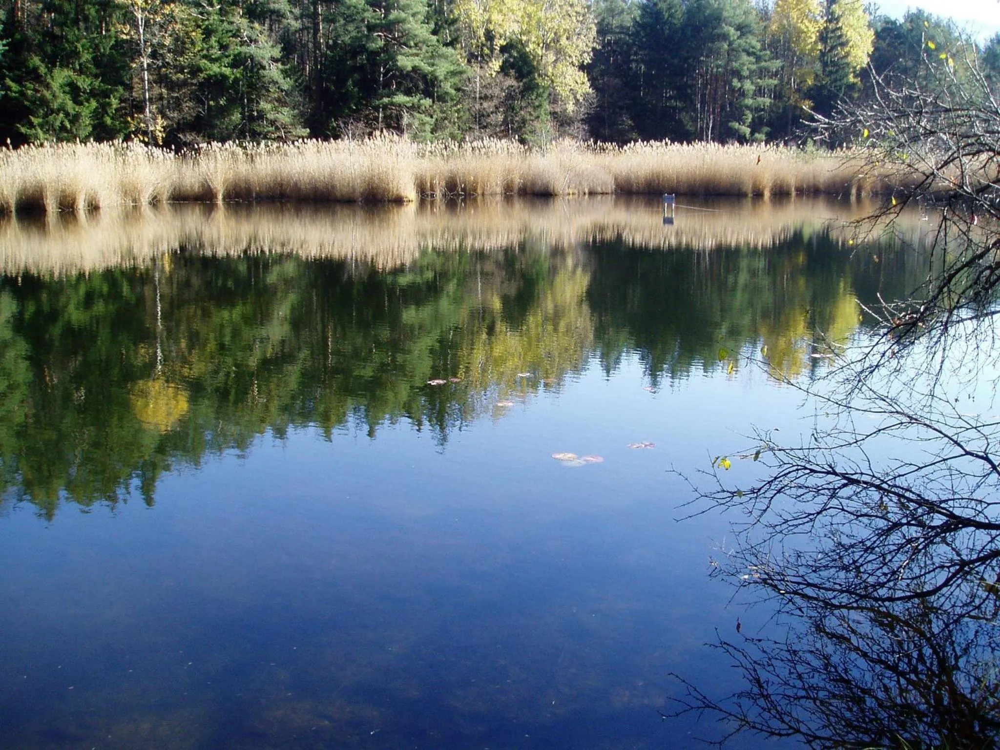Hiking in Residence Hofer