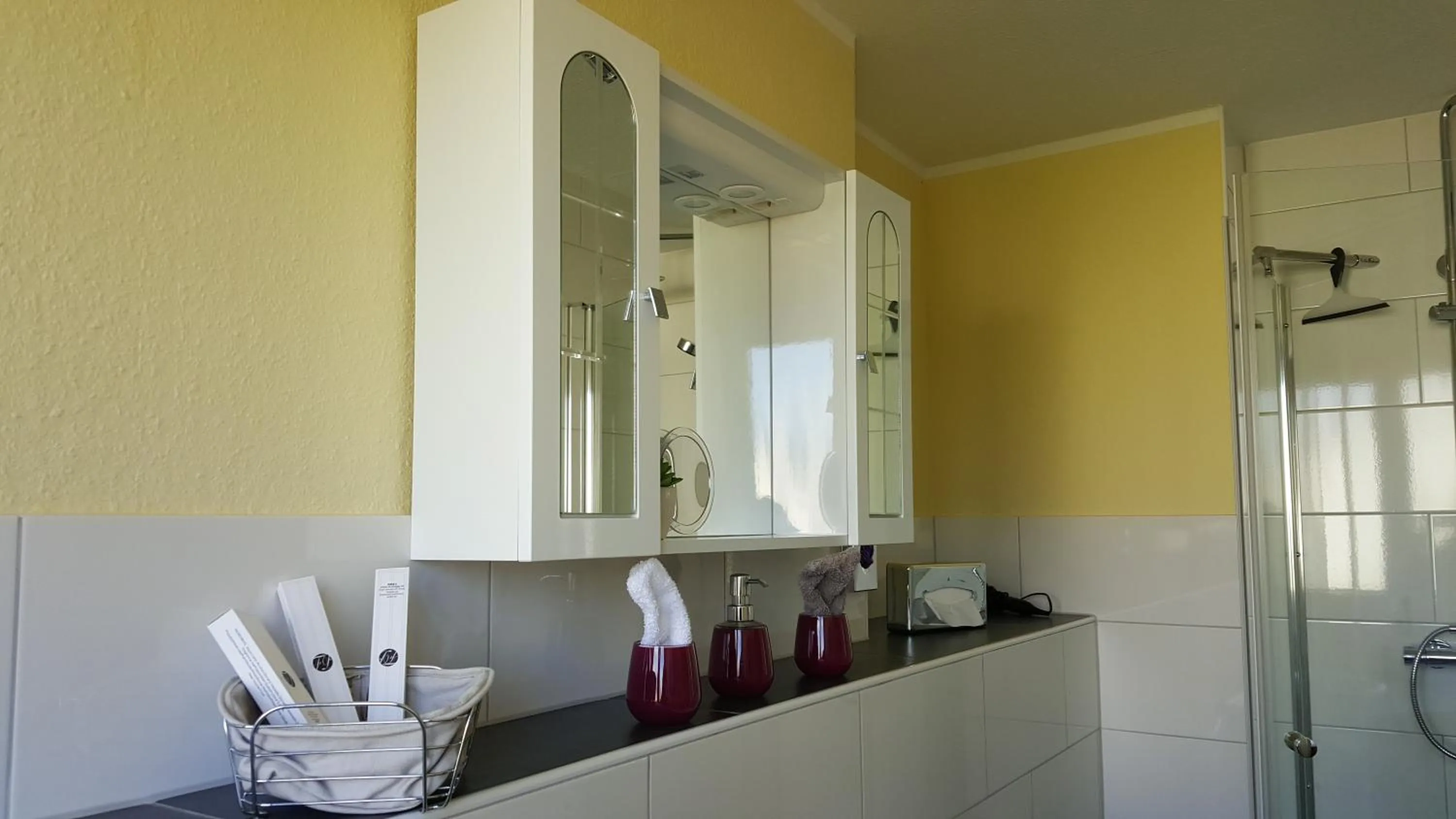 Shower in Oberkasseler Hof Bonn