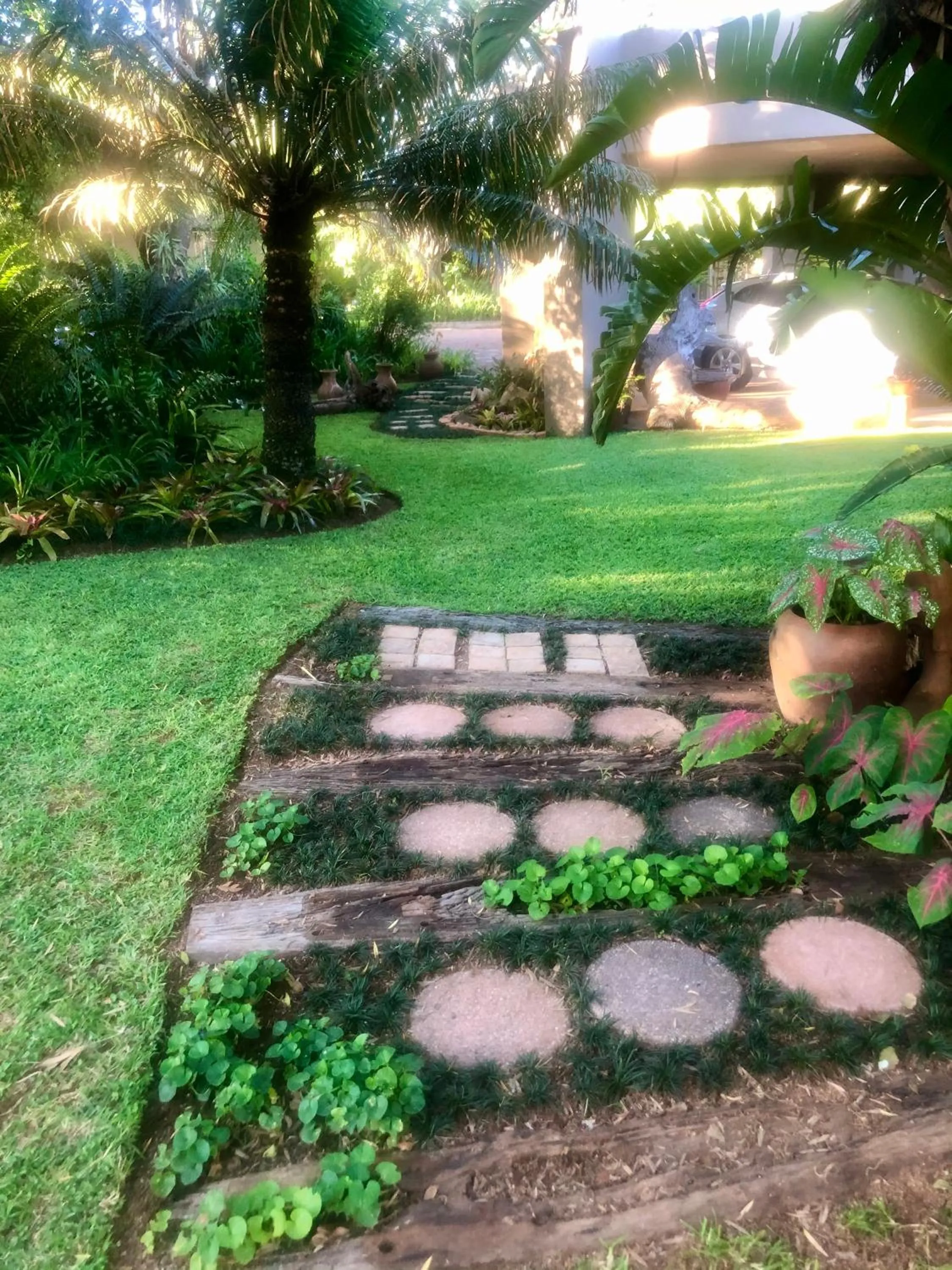 Jock of the Bushveld