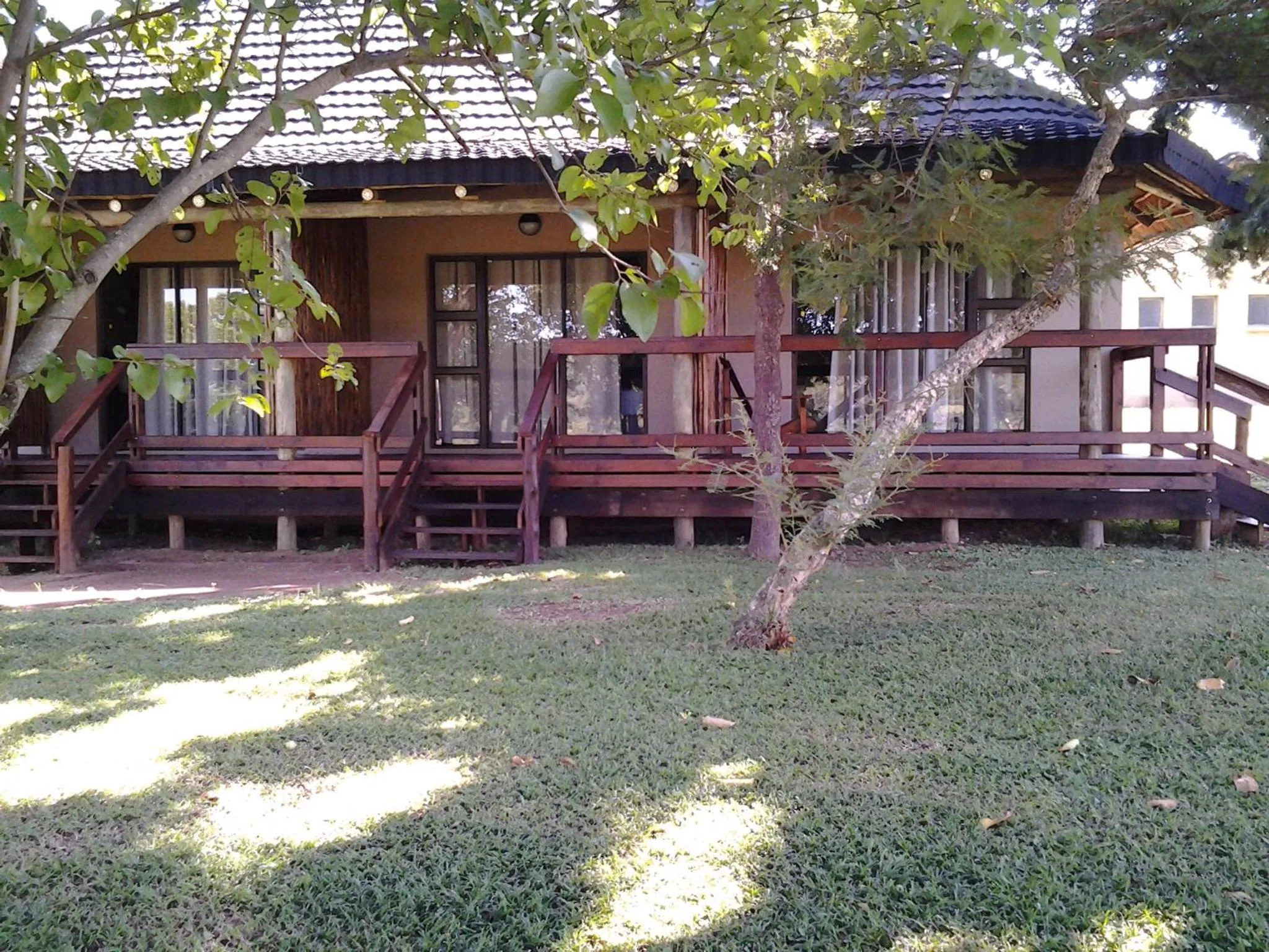 Jock of the Bushveld