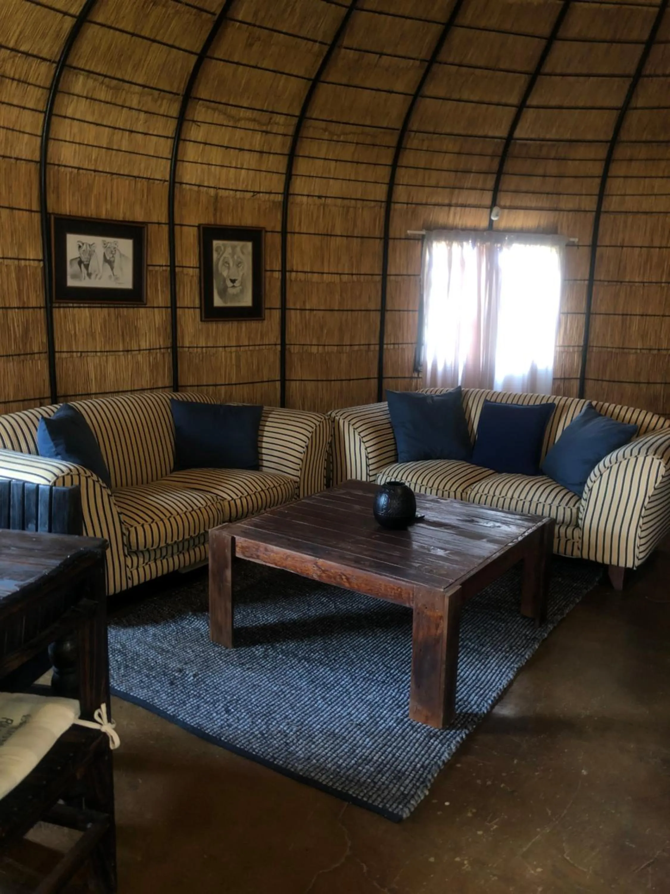 Jock of the Bushveld