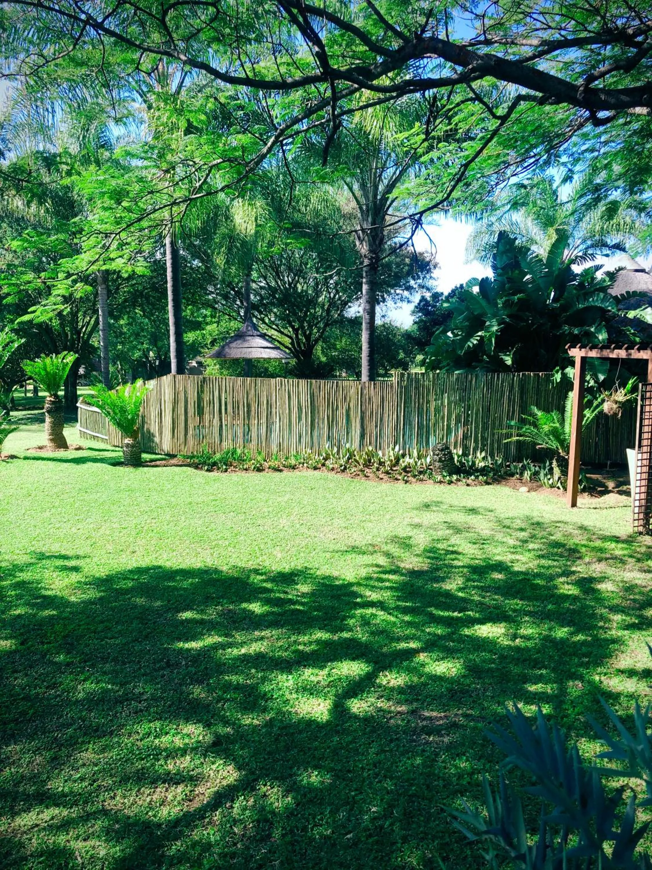 Jock of the Bushveld