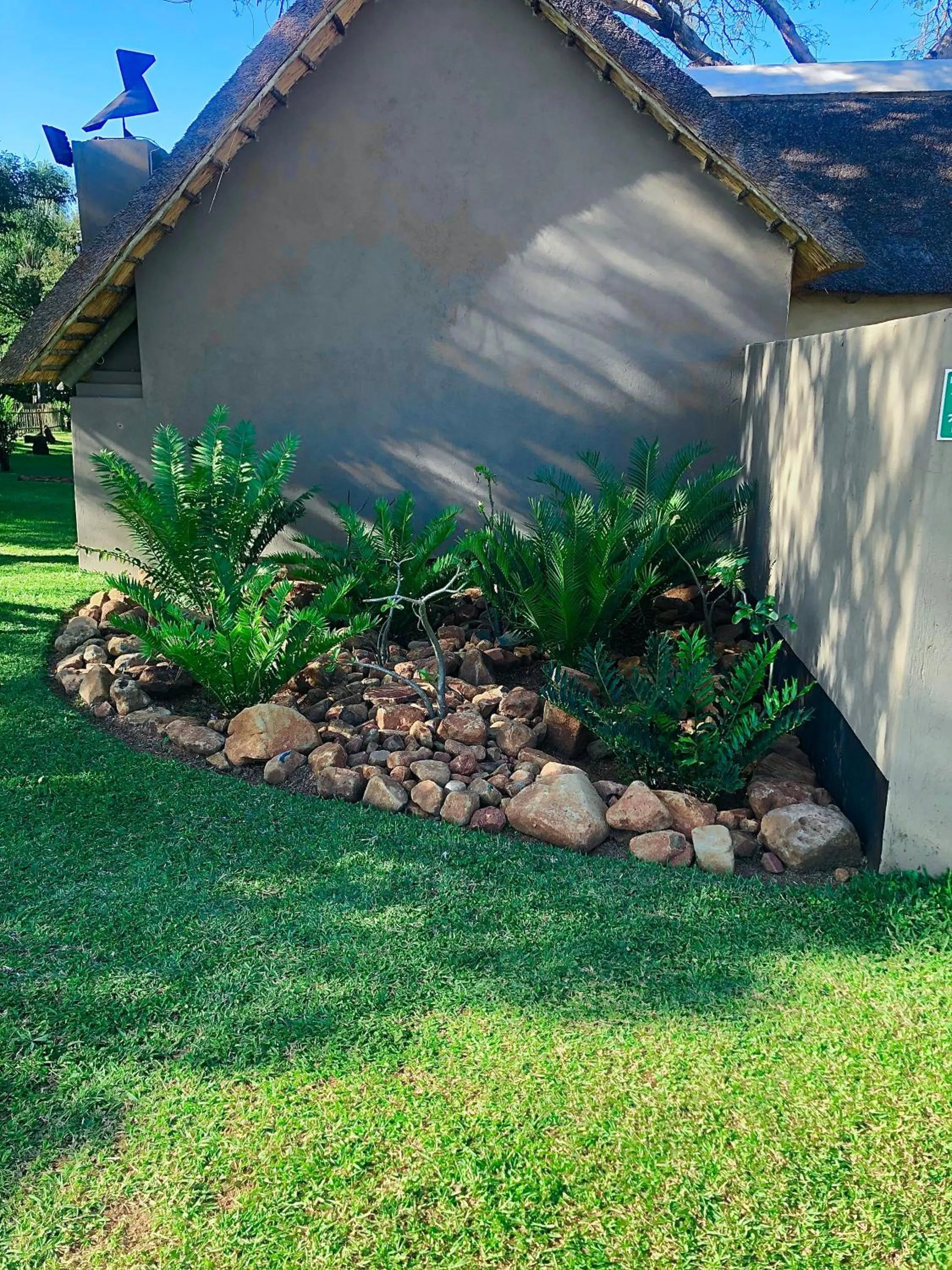 Jock of the Bushveld