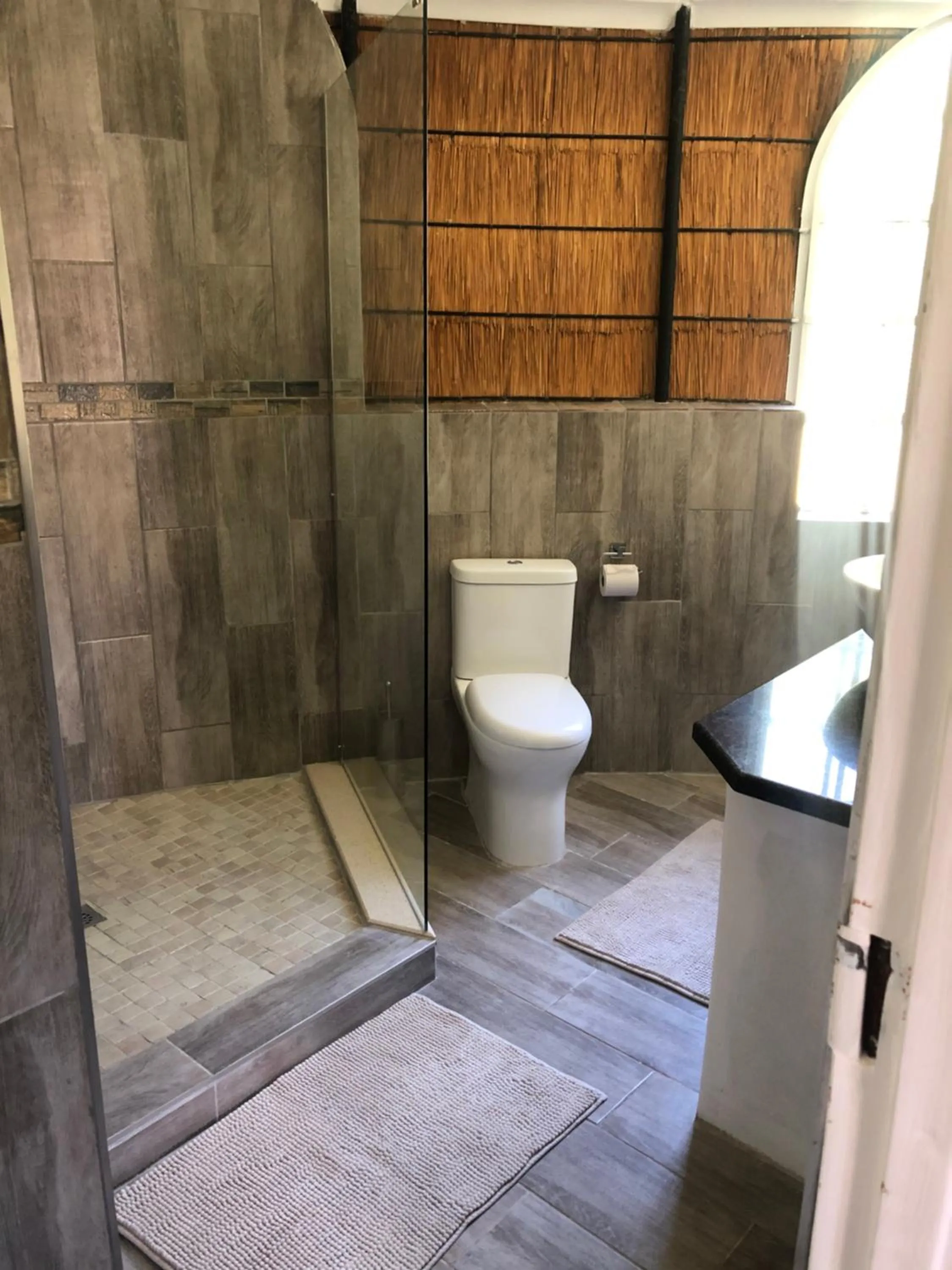 Jock of the Bushveld