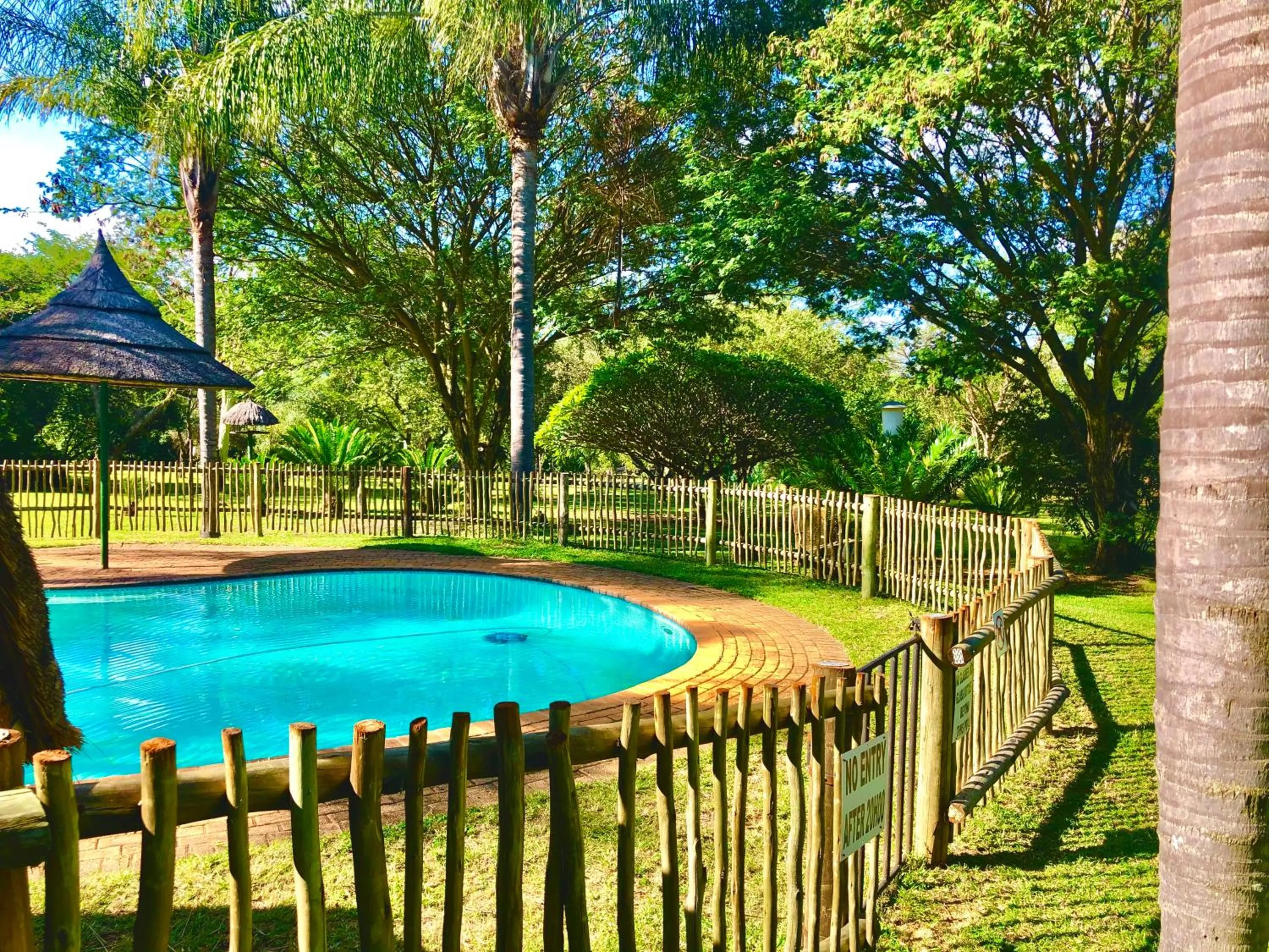 Jock of the Bushveld