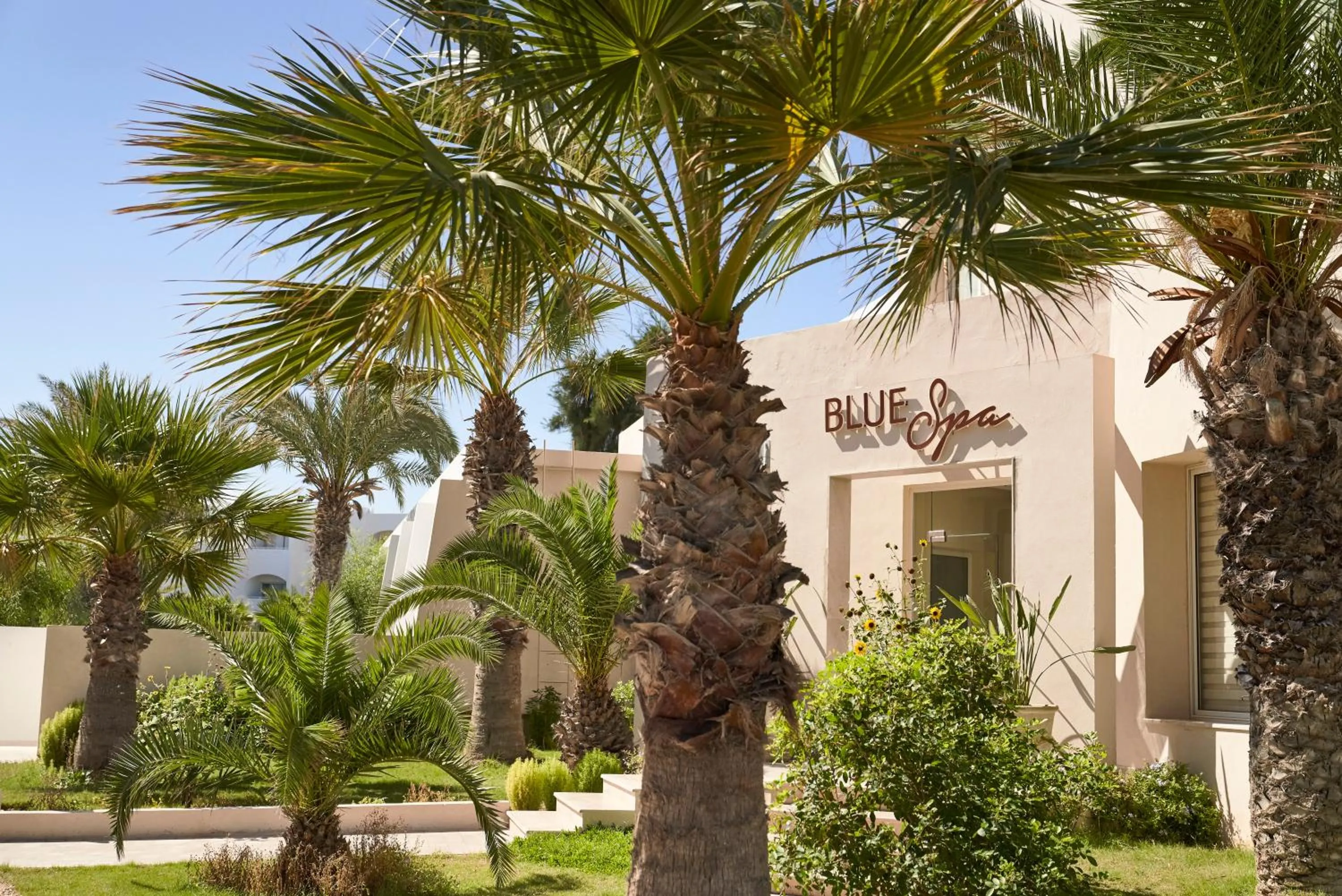 Garden in TUI BLUE Palm Beach Palace Djerba - Adult Only