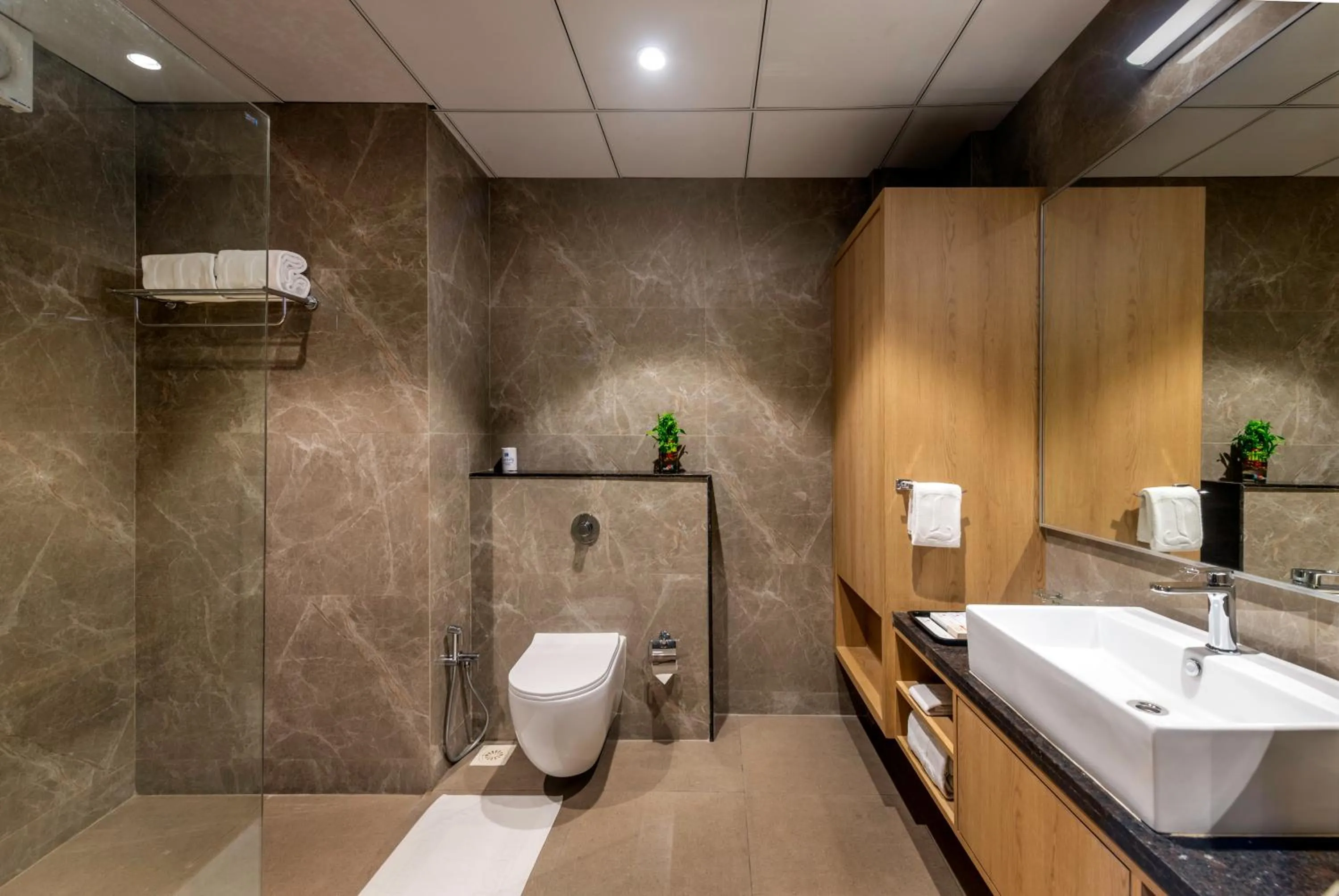 Bathroom in Lords Inn Somnath