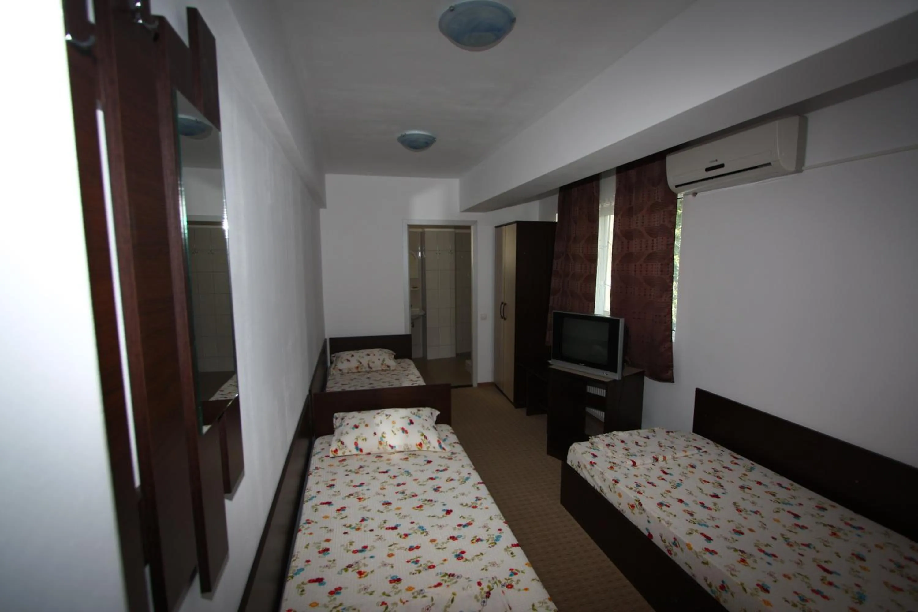 Triple Room in Hotel Basarab