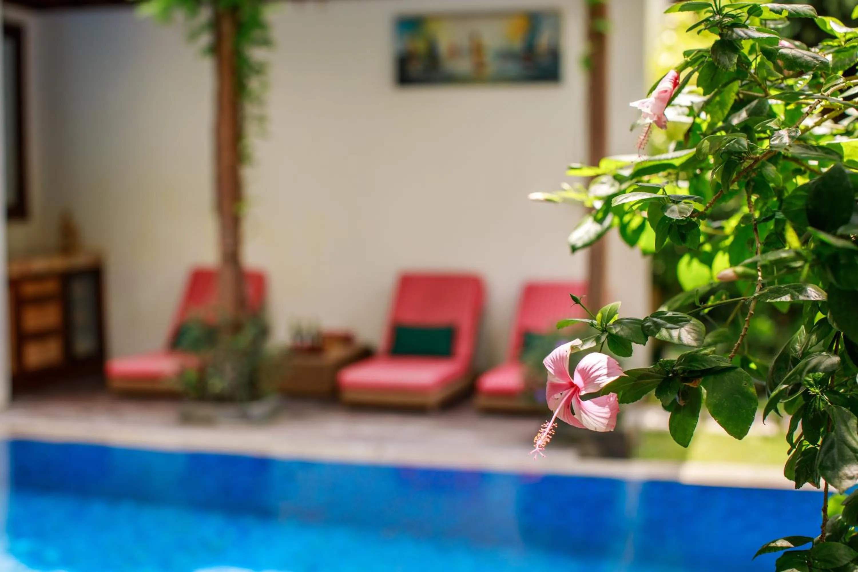 Garden in Delight ART Villas