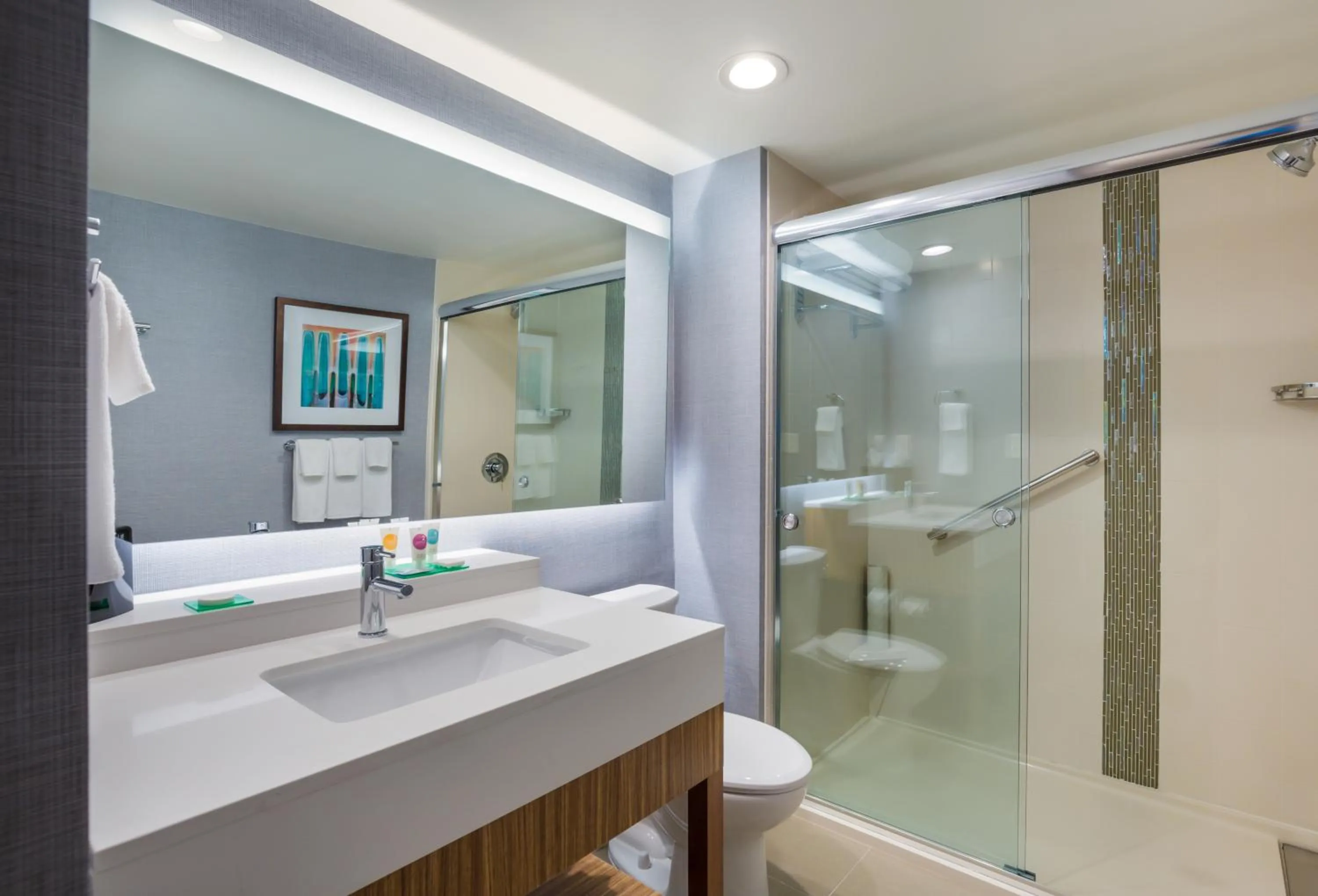 Bathroom in Hyatt Place Hampton Convention Center