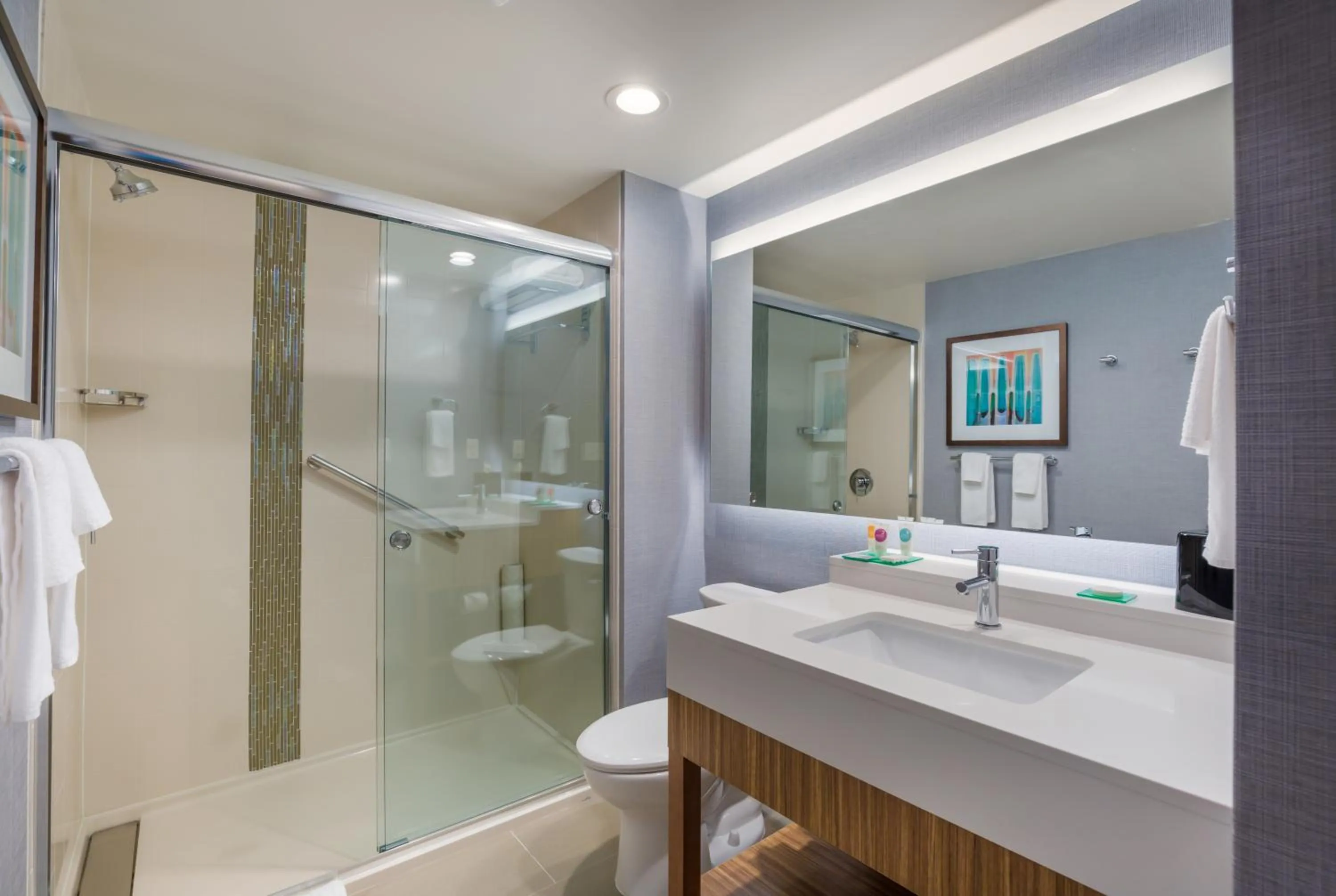 Shower in Hyatt Place Hampton Convention Center