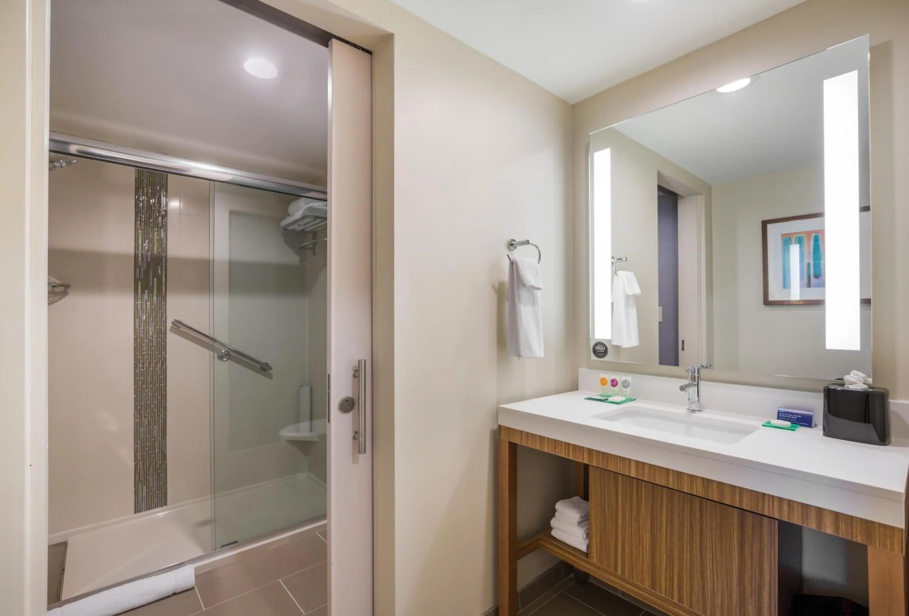 Shower in Hyatt Place Hampton Convention Center