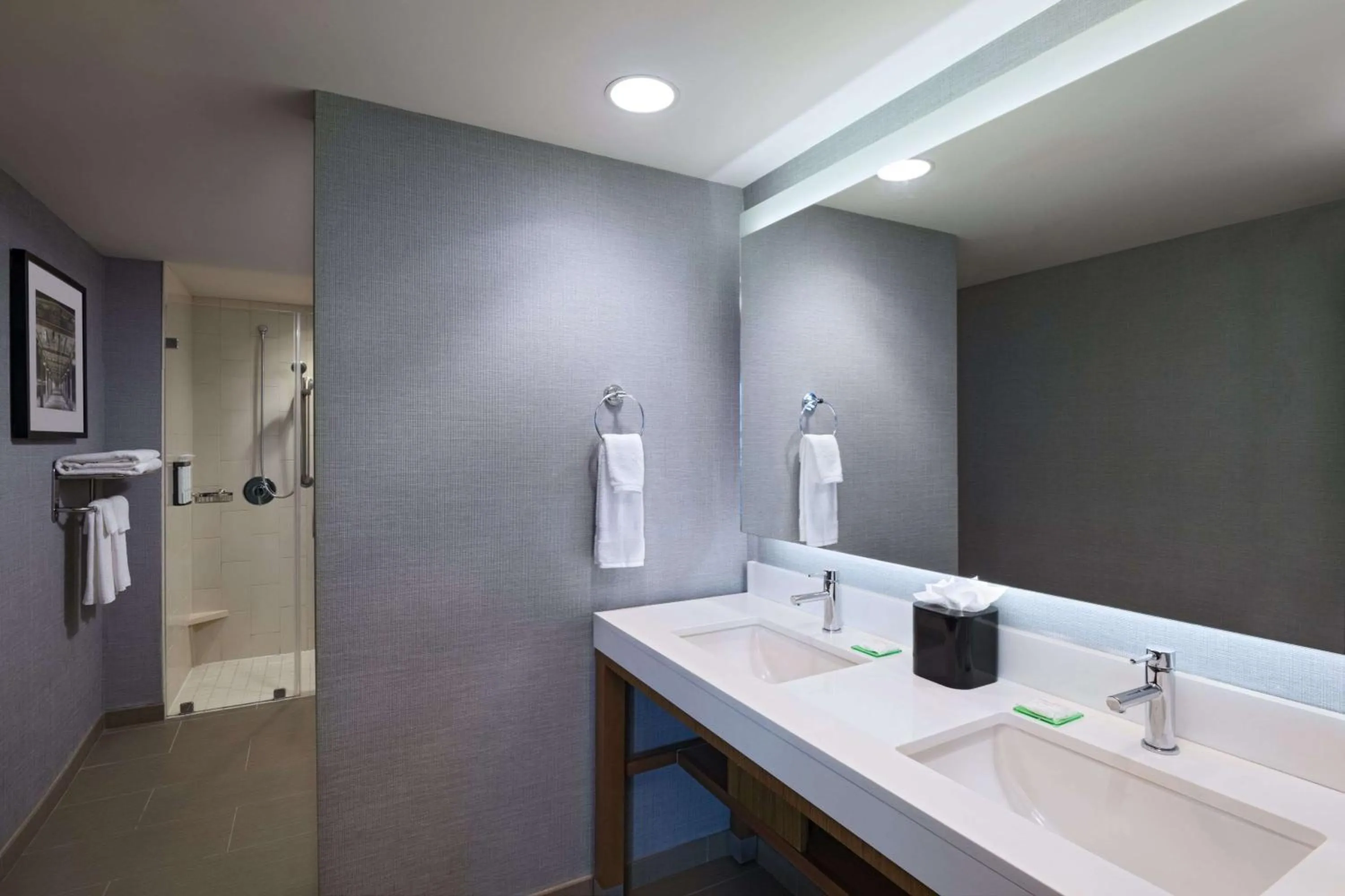 Bathroom in Hyatt Place Greensboro Downtown