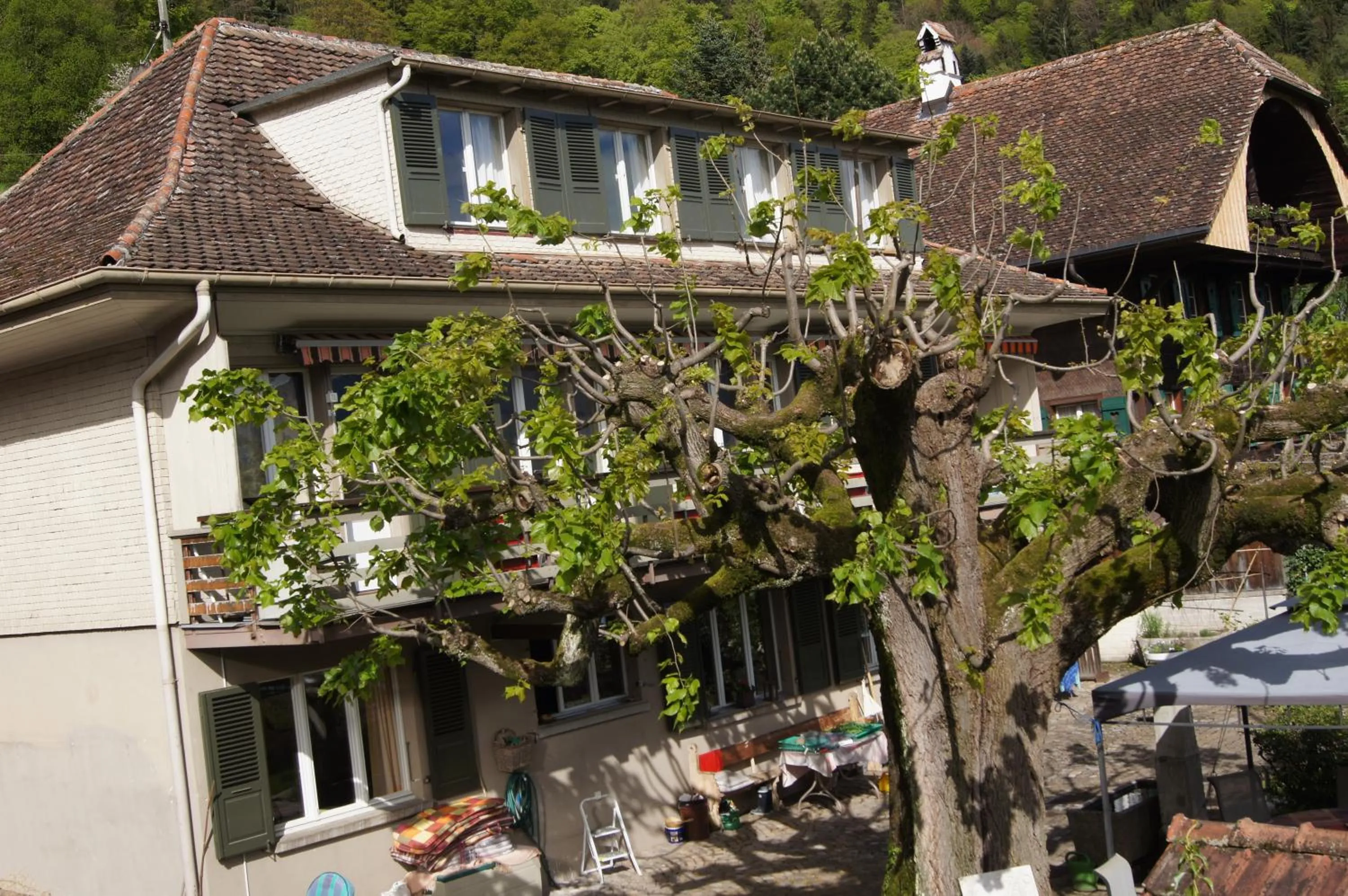 Property building in B&B Schönörtli