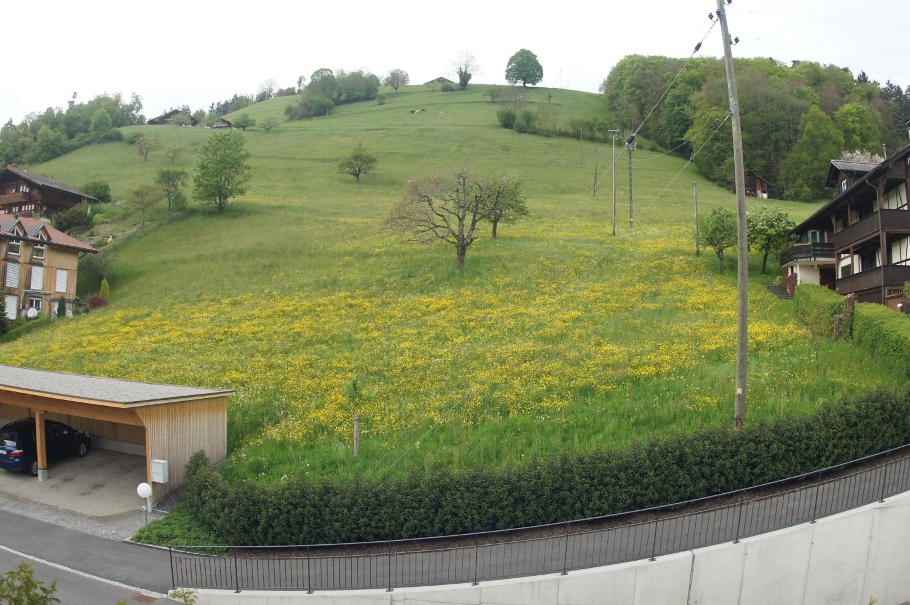 View (from property/room) in B&B Schönörtli