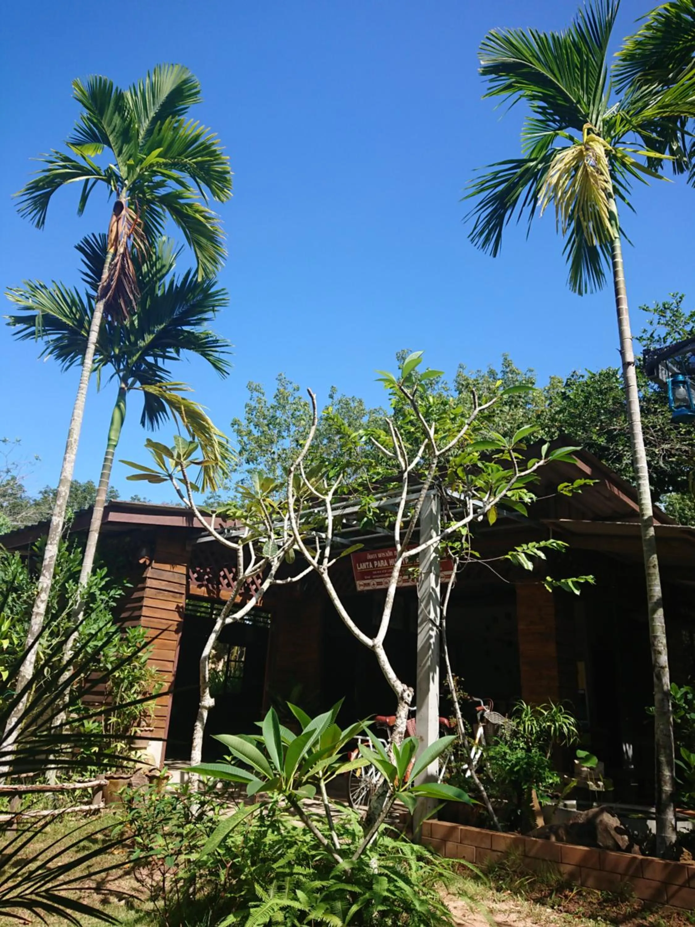 Restaurant/places to eat in Lanta Para hut