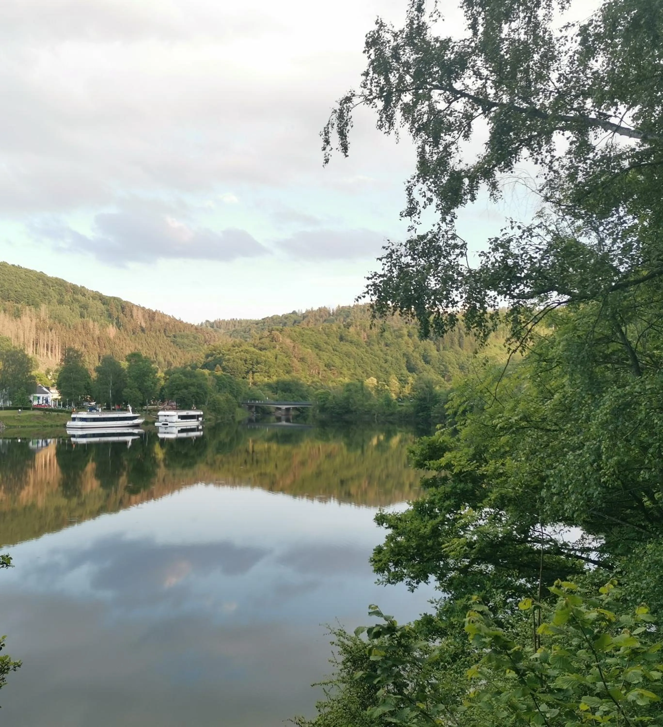 Natural landscape in Hotel Haus am See