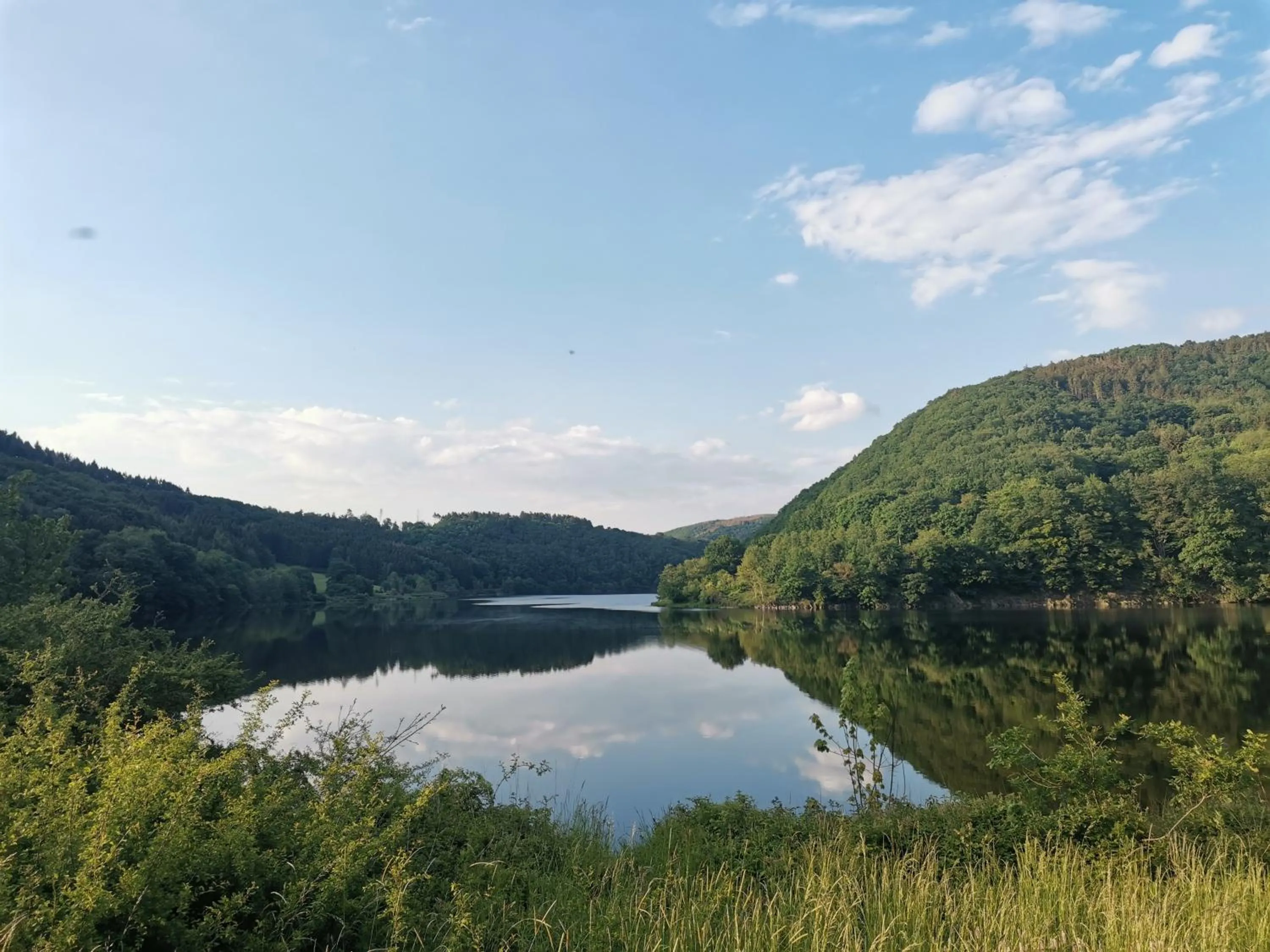 Natural landscape in Hotel Haus am See