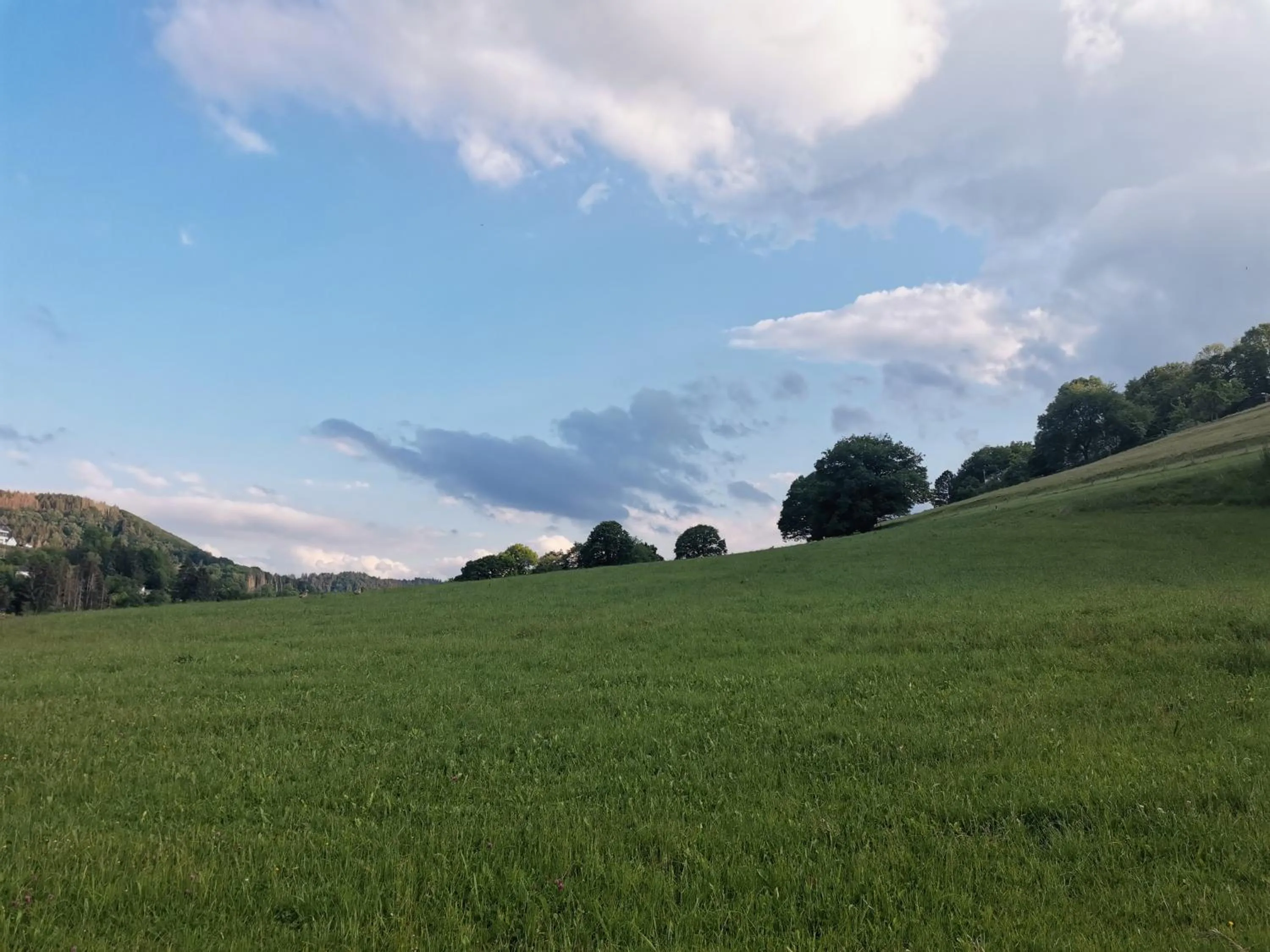 Natural landscape in Hotel Haus am See
