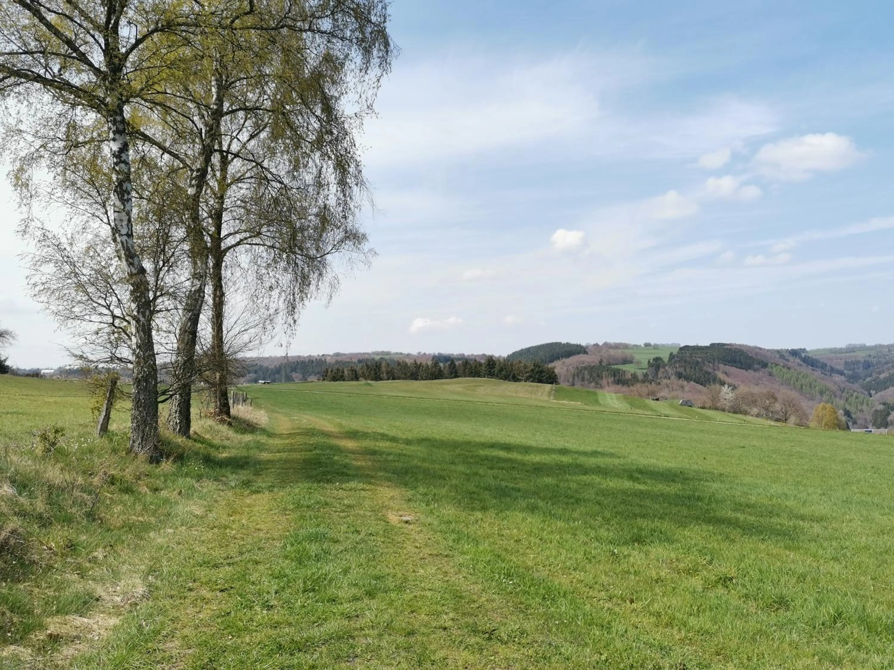 Natural landscape in Hotel Haus am See