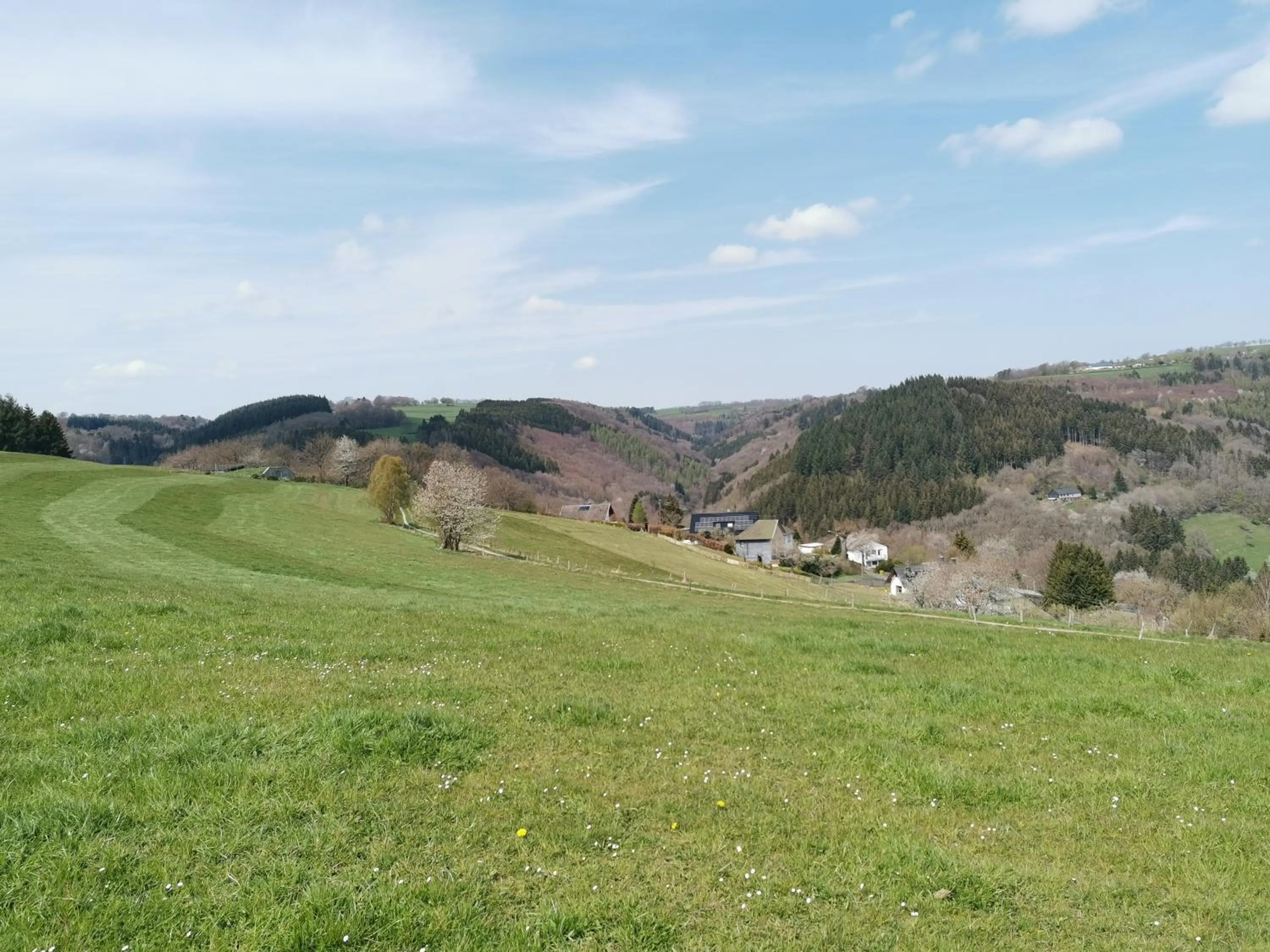 Natural landscape in Hotel Haus am See