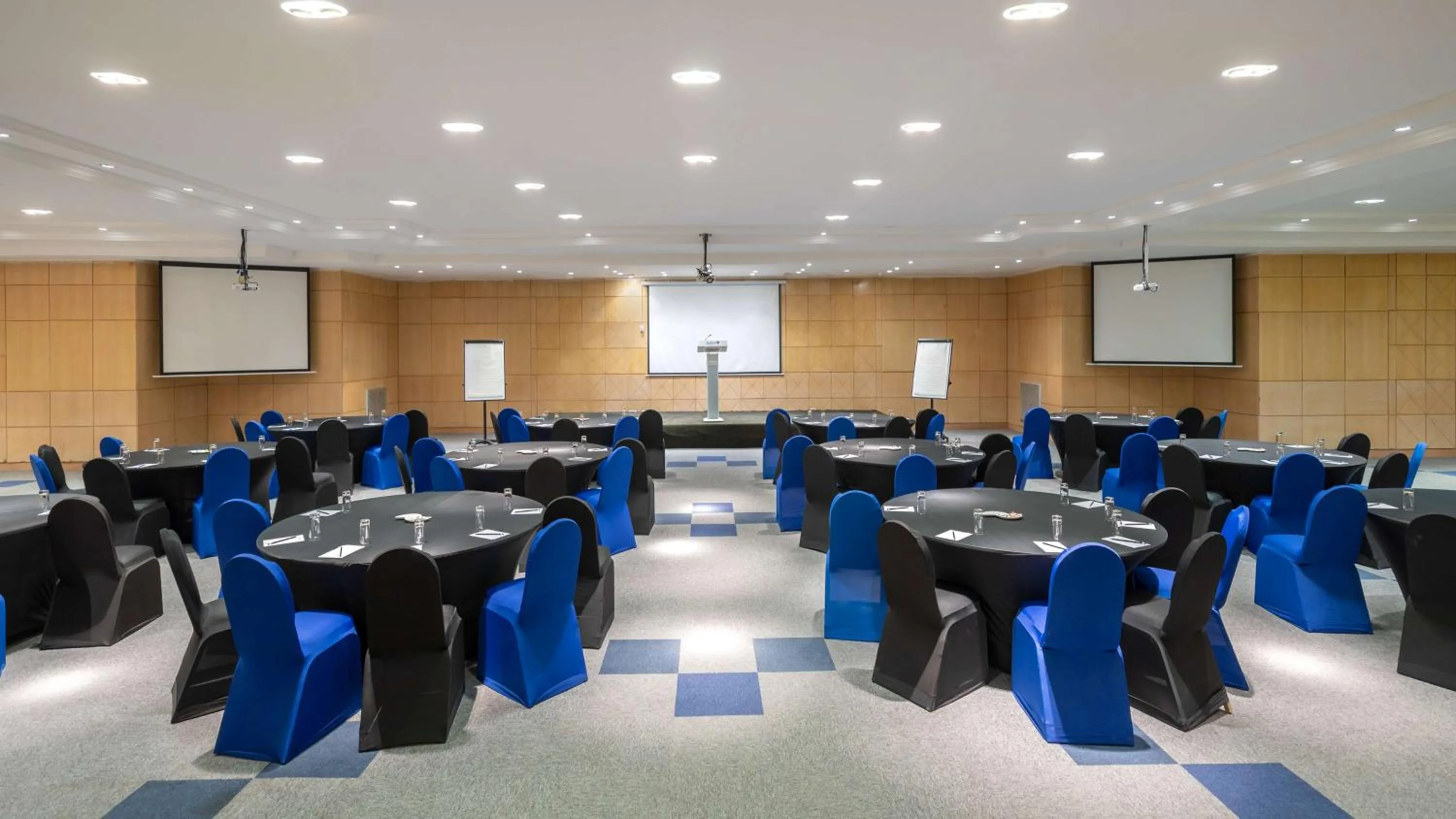 Meeting/conference room in Radisson Blu Palace Resort & Thalasso, Djerba